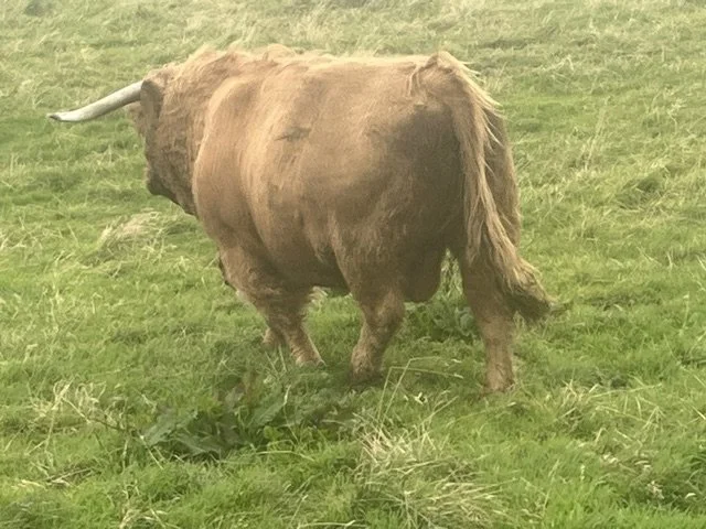 Ruaridh of Rannoch 2.jpg