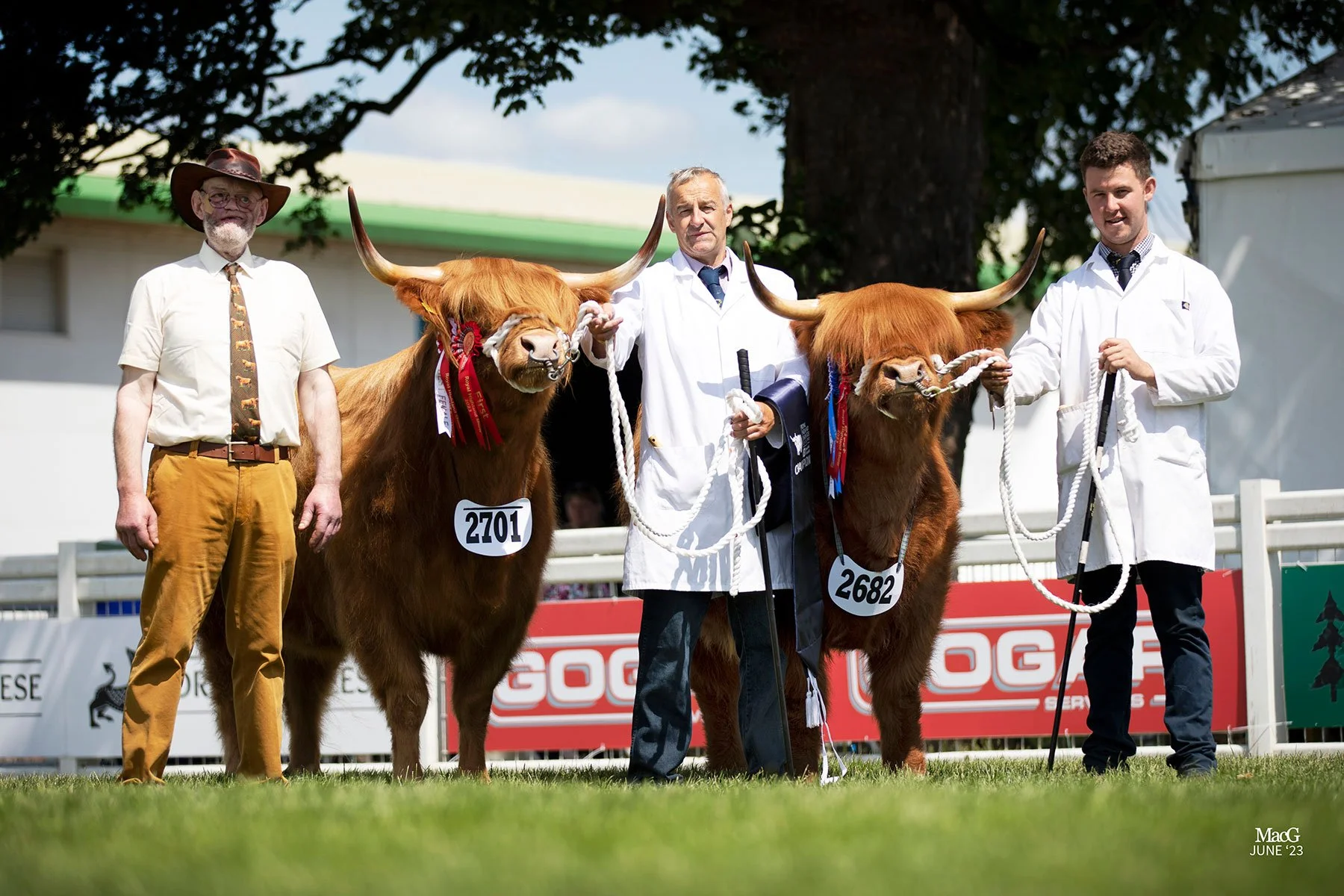 Royal Highland Show 2023 Highland Cattle Society royal-highland-show-2023-highland-cattle-society