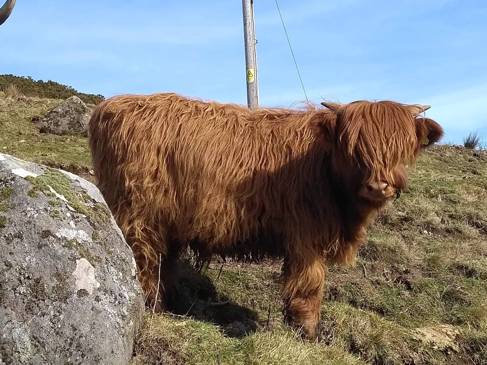 Somhairle of An Ceathramh