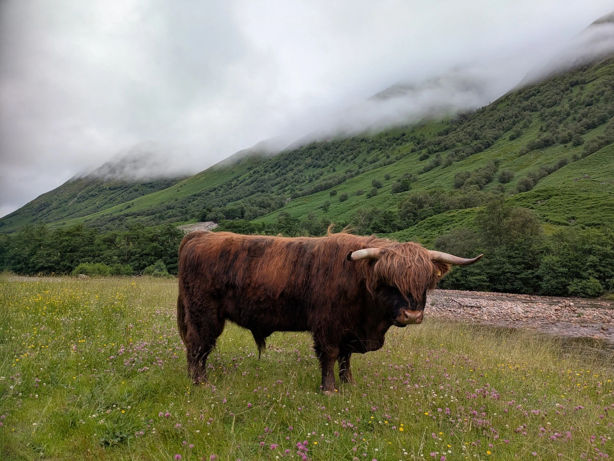 Sannox of Dalness