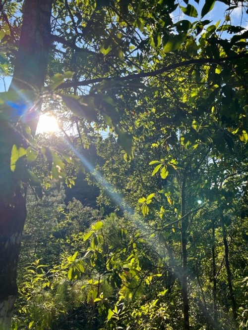 Sunshine.jpg