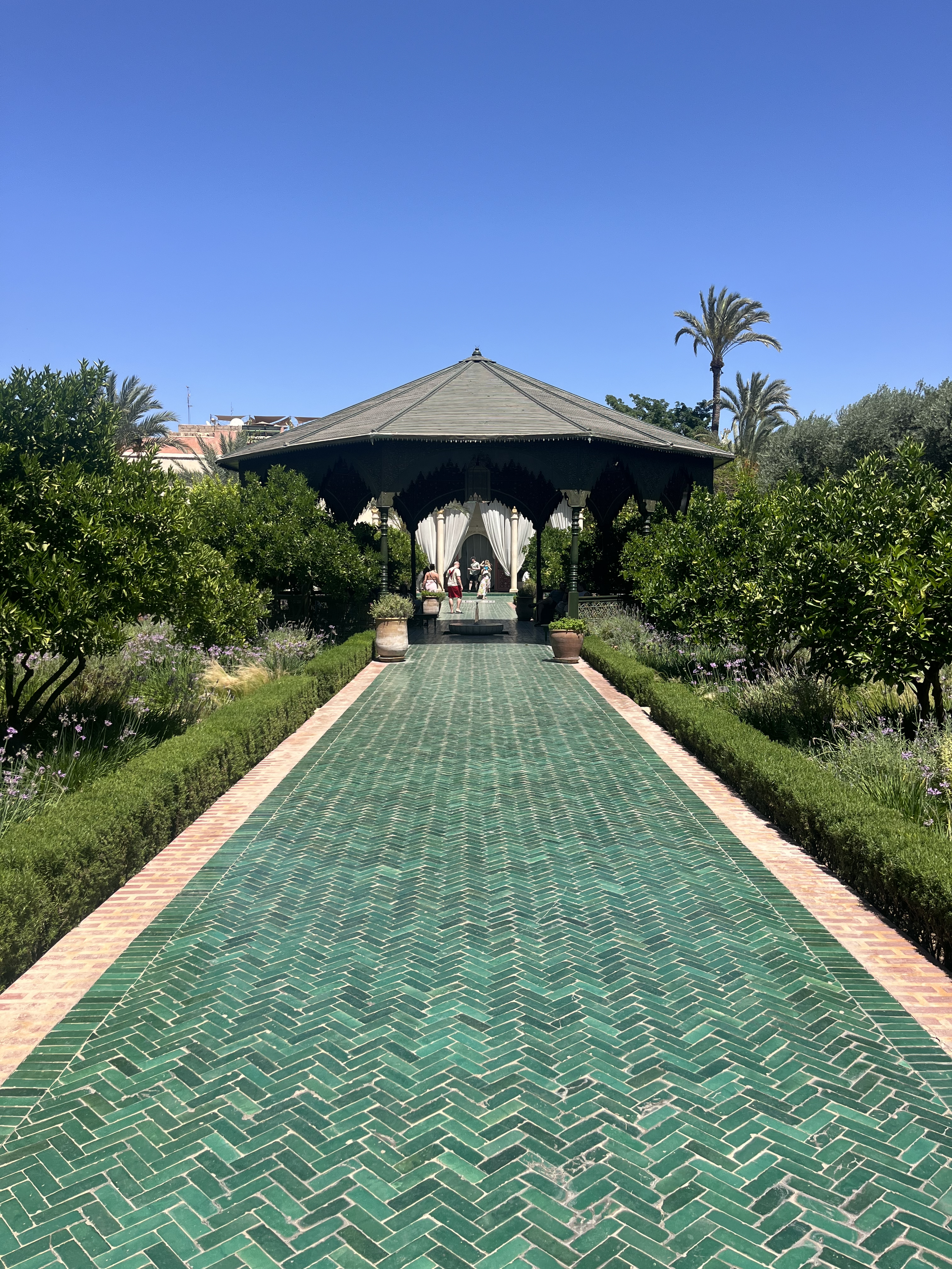 Morocco website pic.png