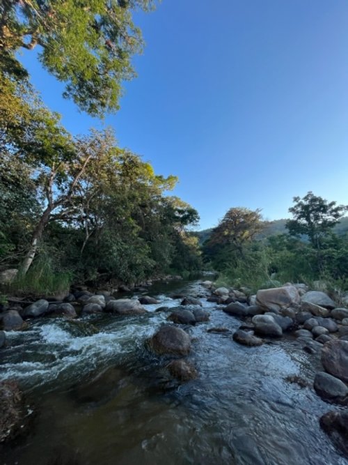 River.jpg