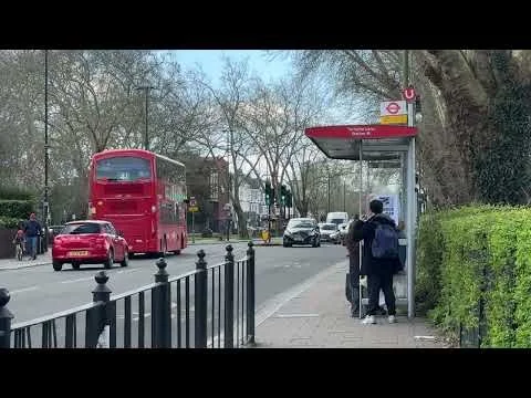 Welcome to Green Lanes