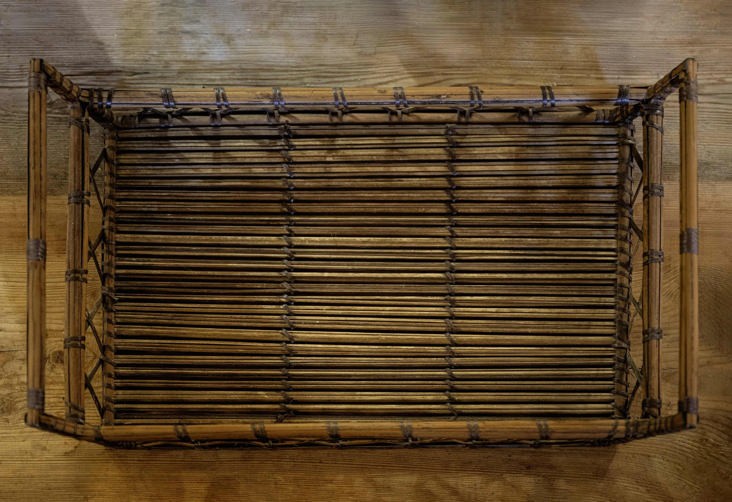 plateau osier_2_01.JPG