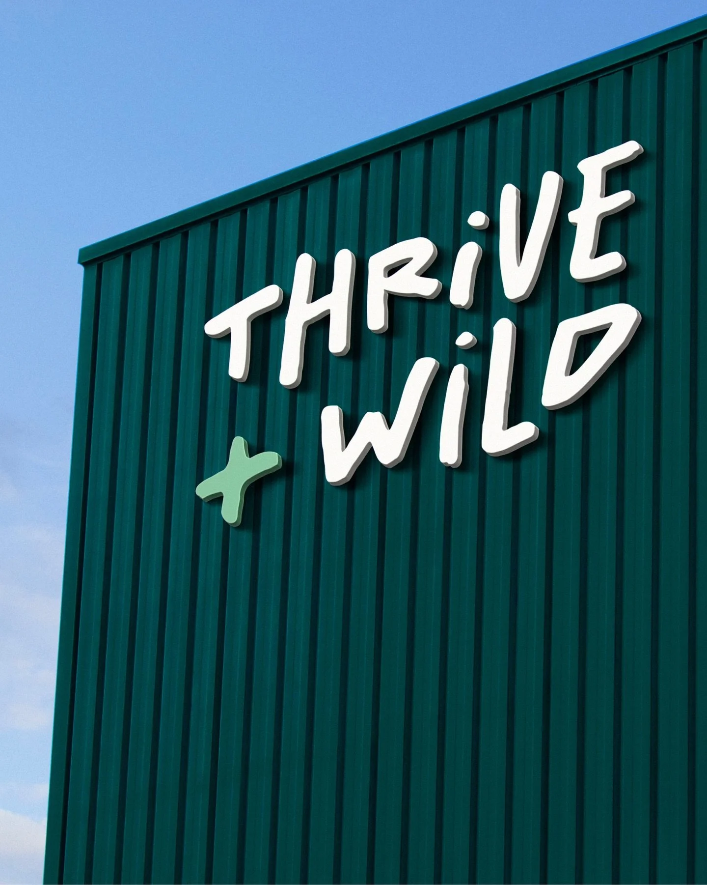 Today is the day @thrivewild_winch officially opens its doors 🎉🌿 A brand new space for the community to connect, recharge and thrive - with soft play, a cosy caf&eacute; ☕️ and much more to explore 🤍

We&rsquo;re excited to be bringing the Thrive 