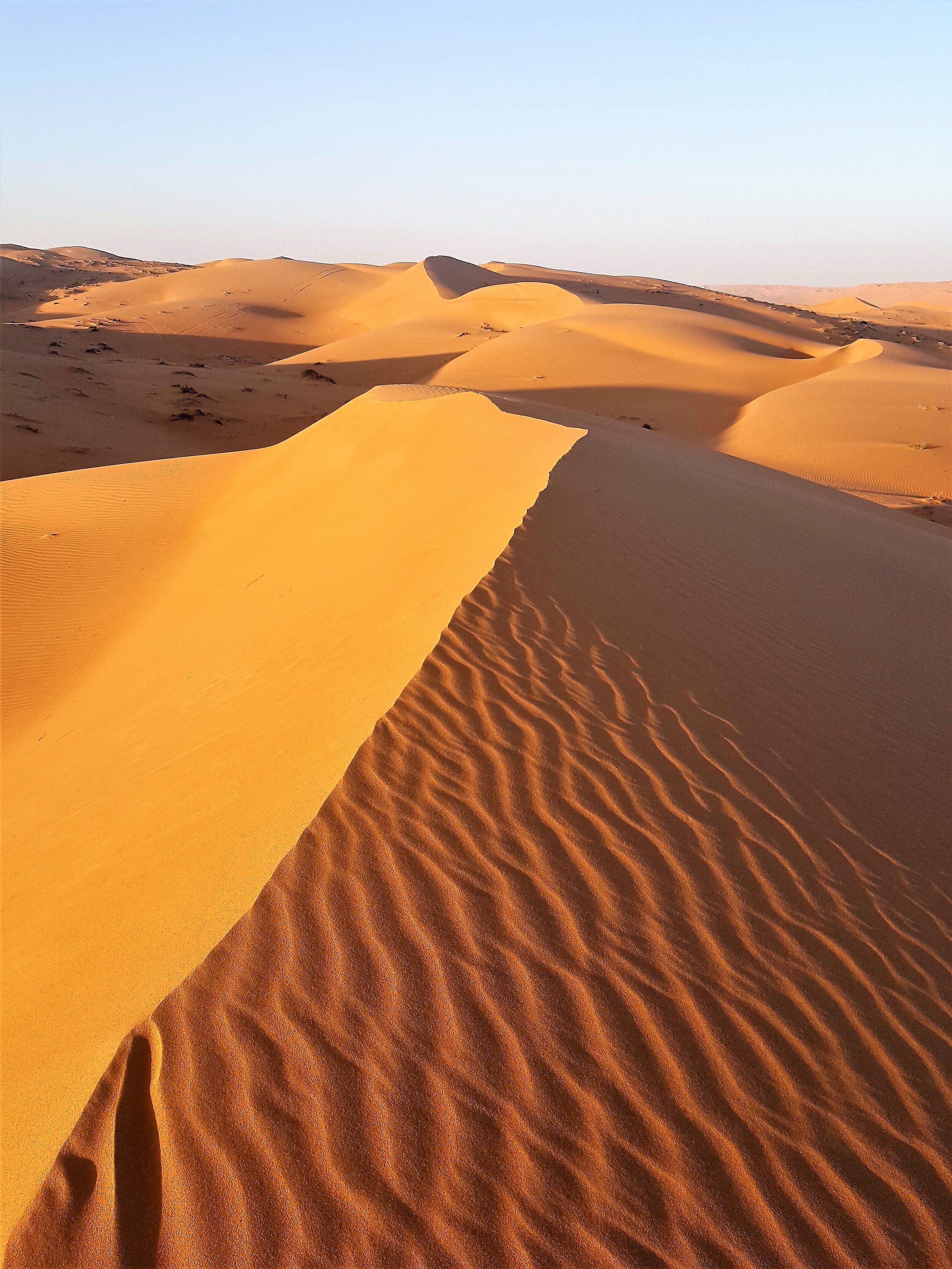 Wüste.jpg