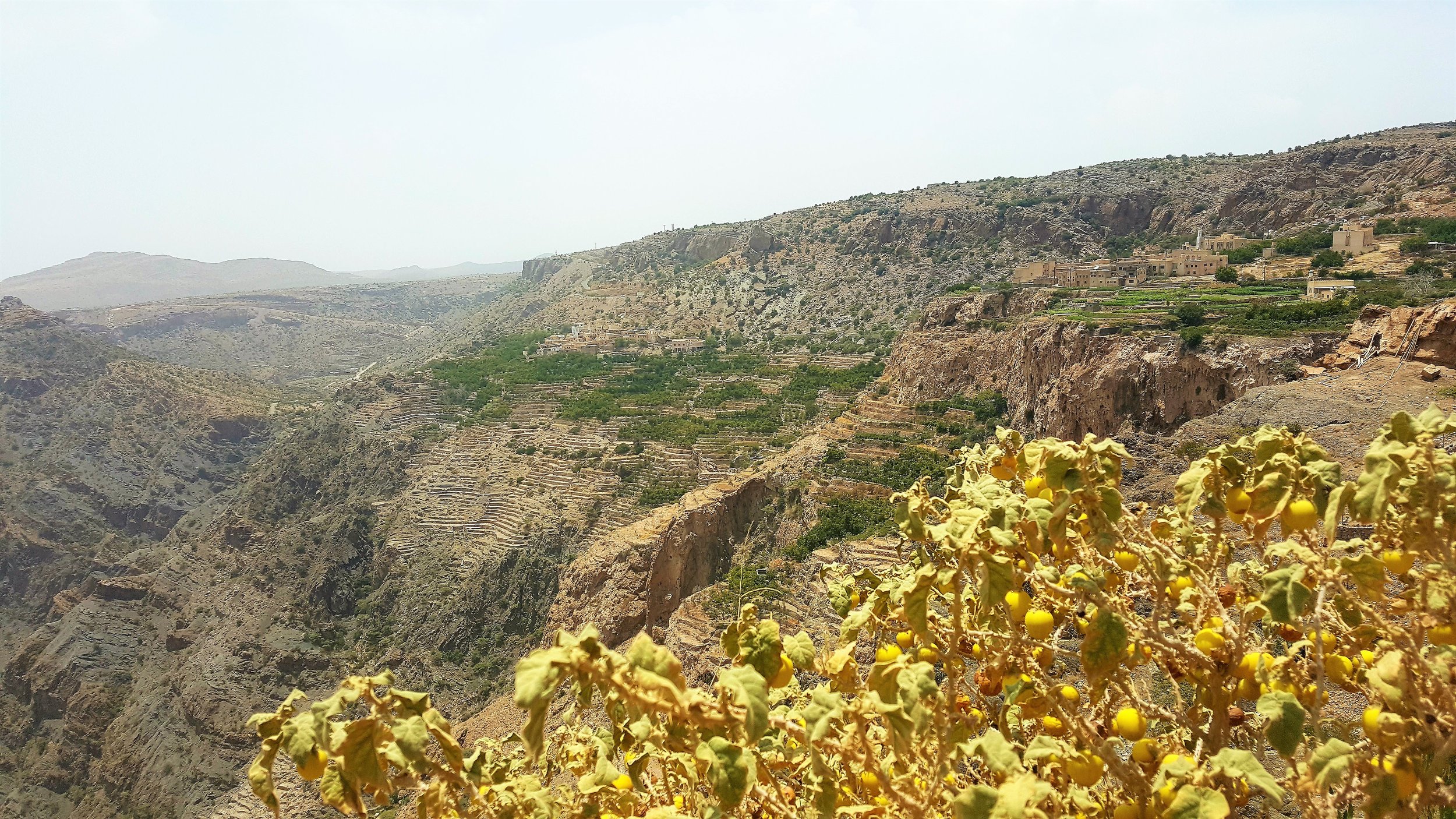 Al Maamari Tours - Jebel Akhdar