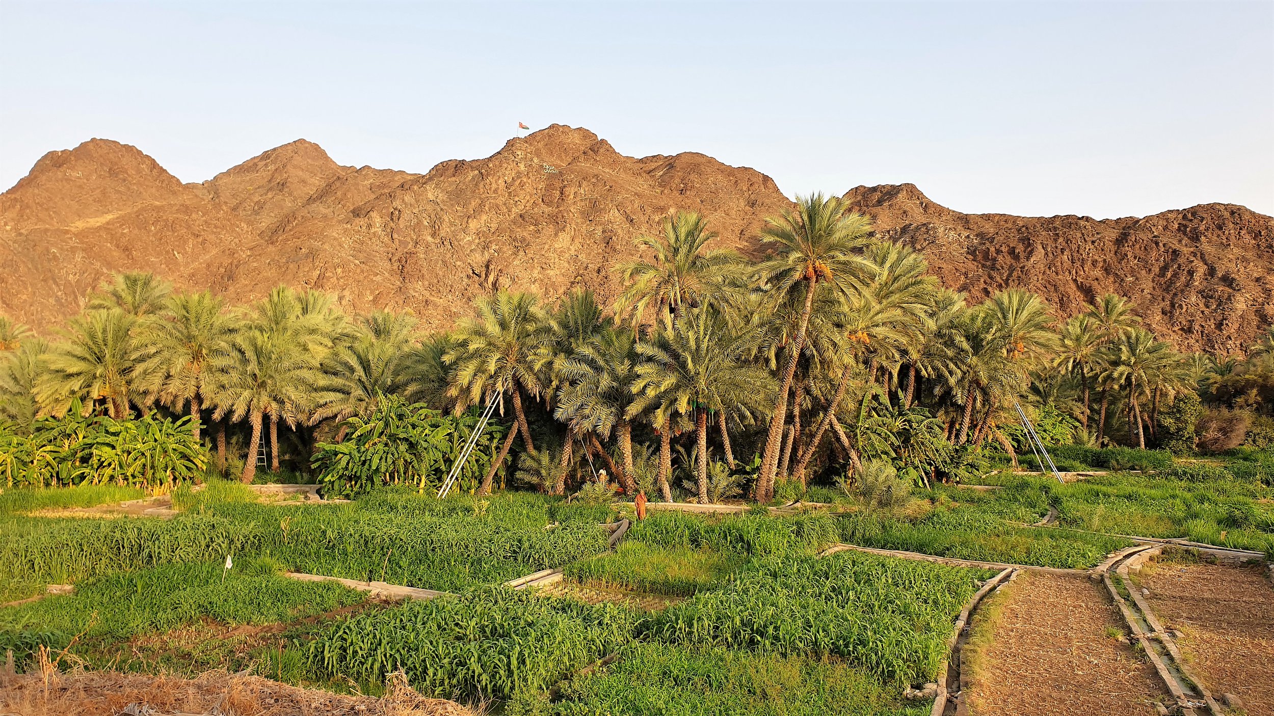 Al Maamari Tours - Omanisches Dorf