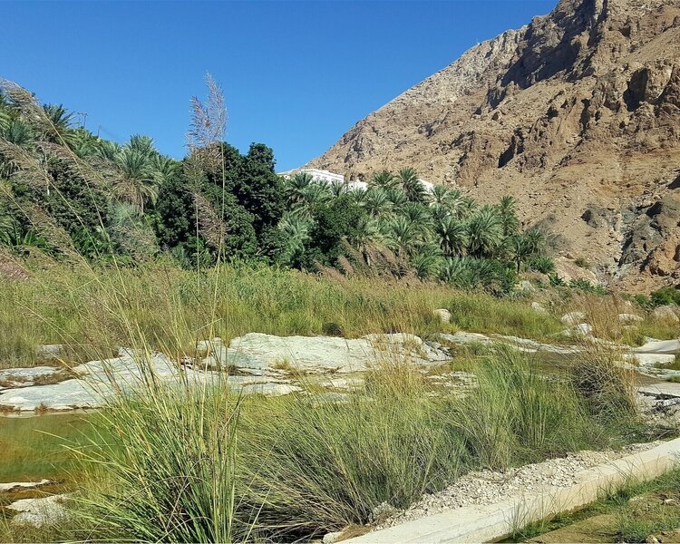 Al Maamari Tours, Reiseleiter Oman, Wadi+Tiwi Discover Oman.jpg