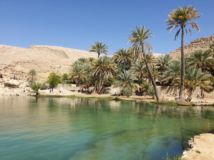 Al Maamari Tours - Wadi Bani Khalid