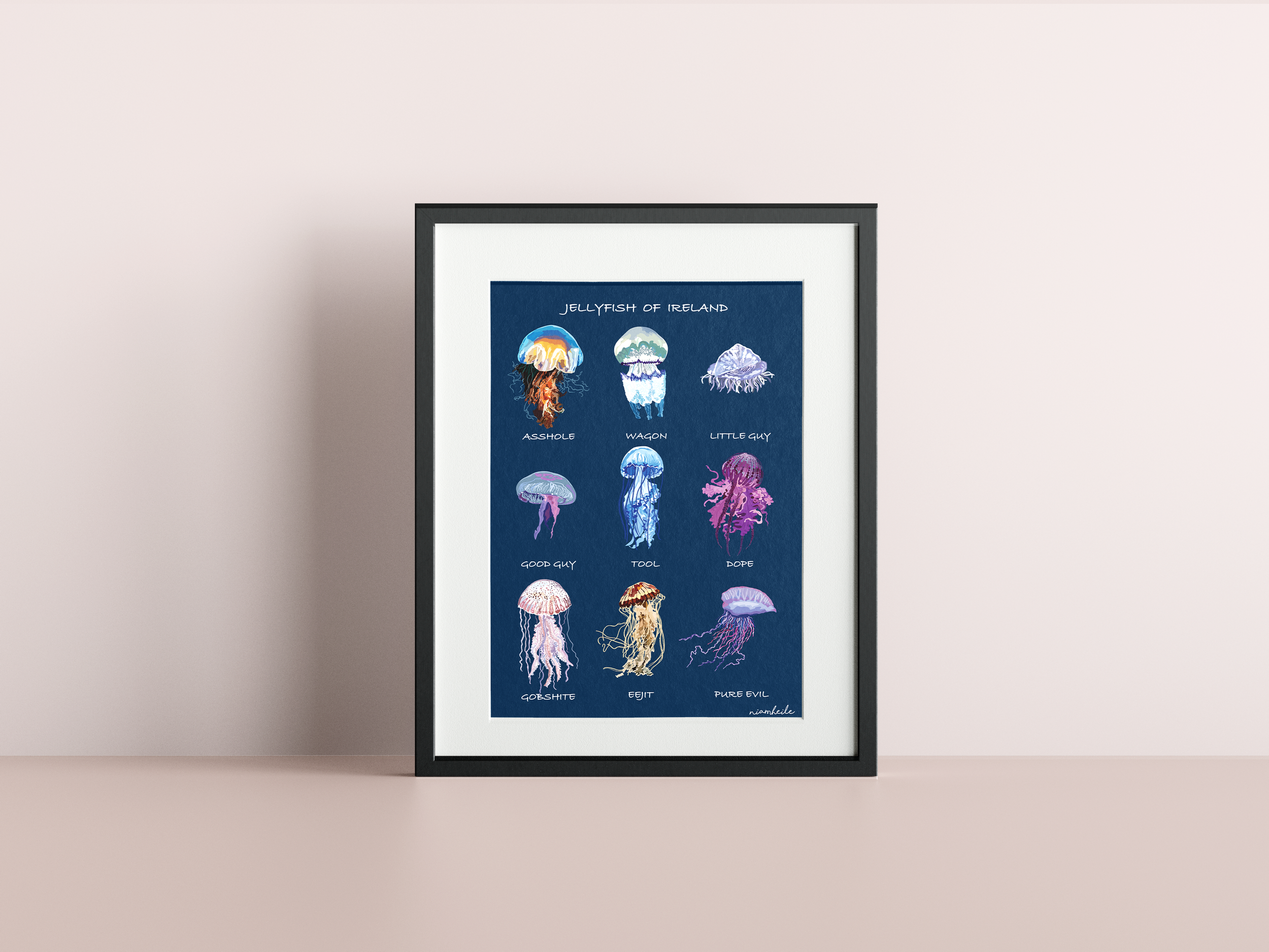 Jellyfish of Ireland Mock Up.png