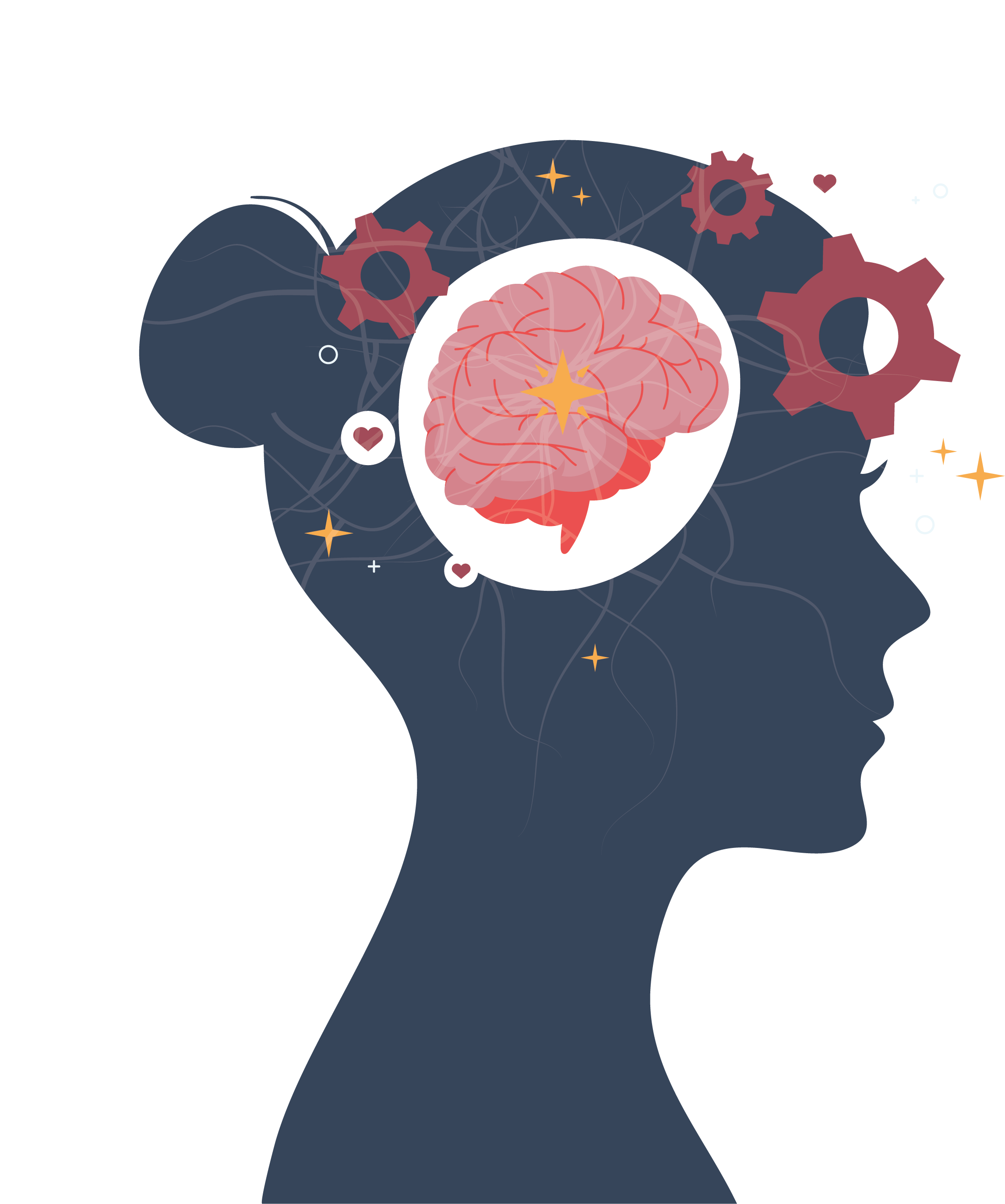 womans-brain.png