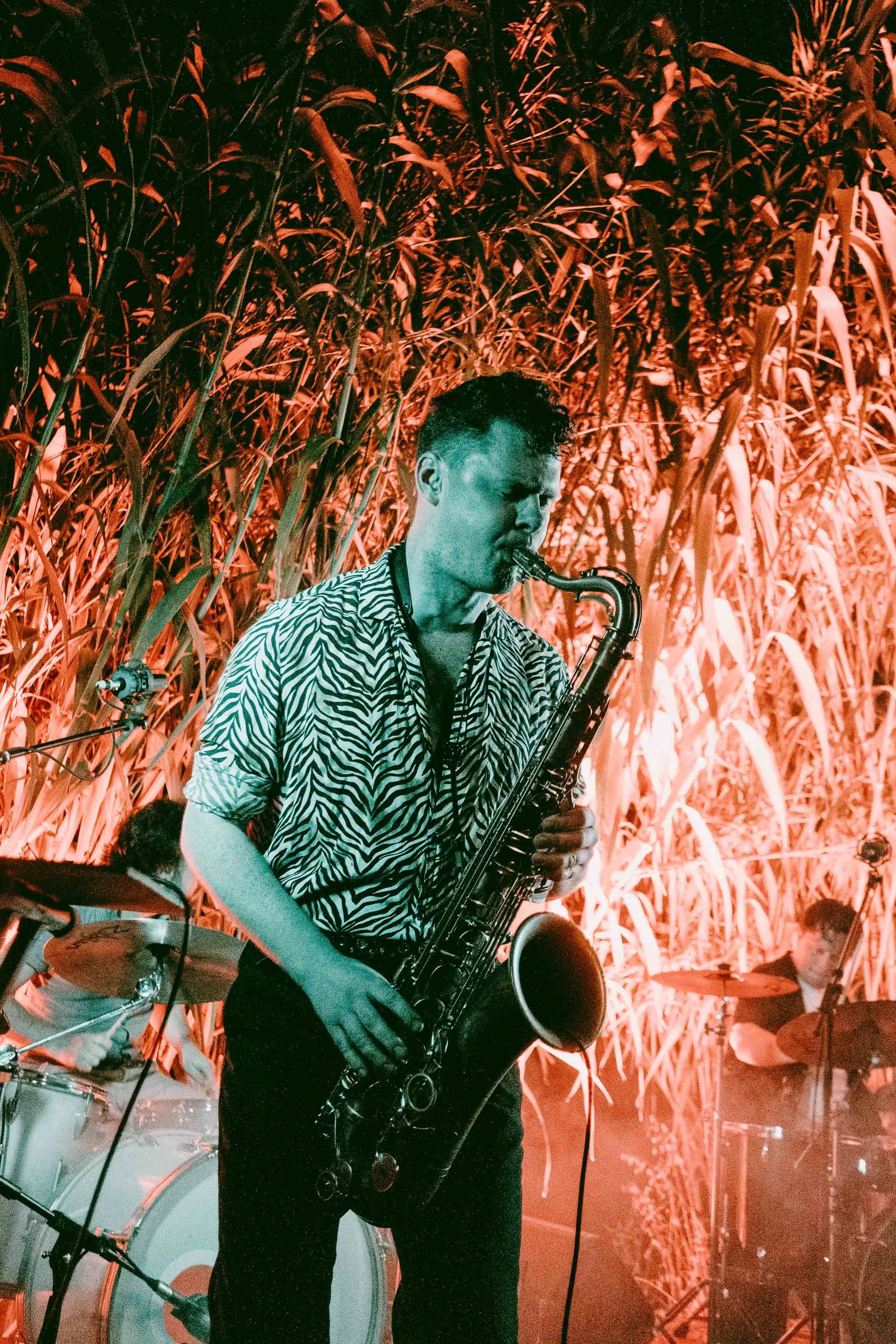 Photo by Vera Marmelo