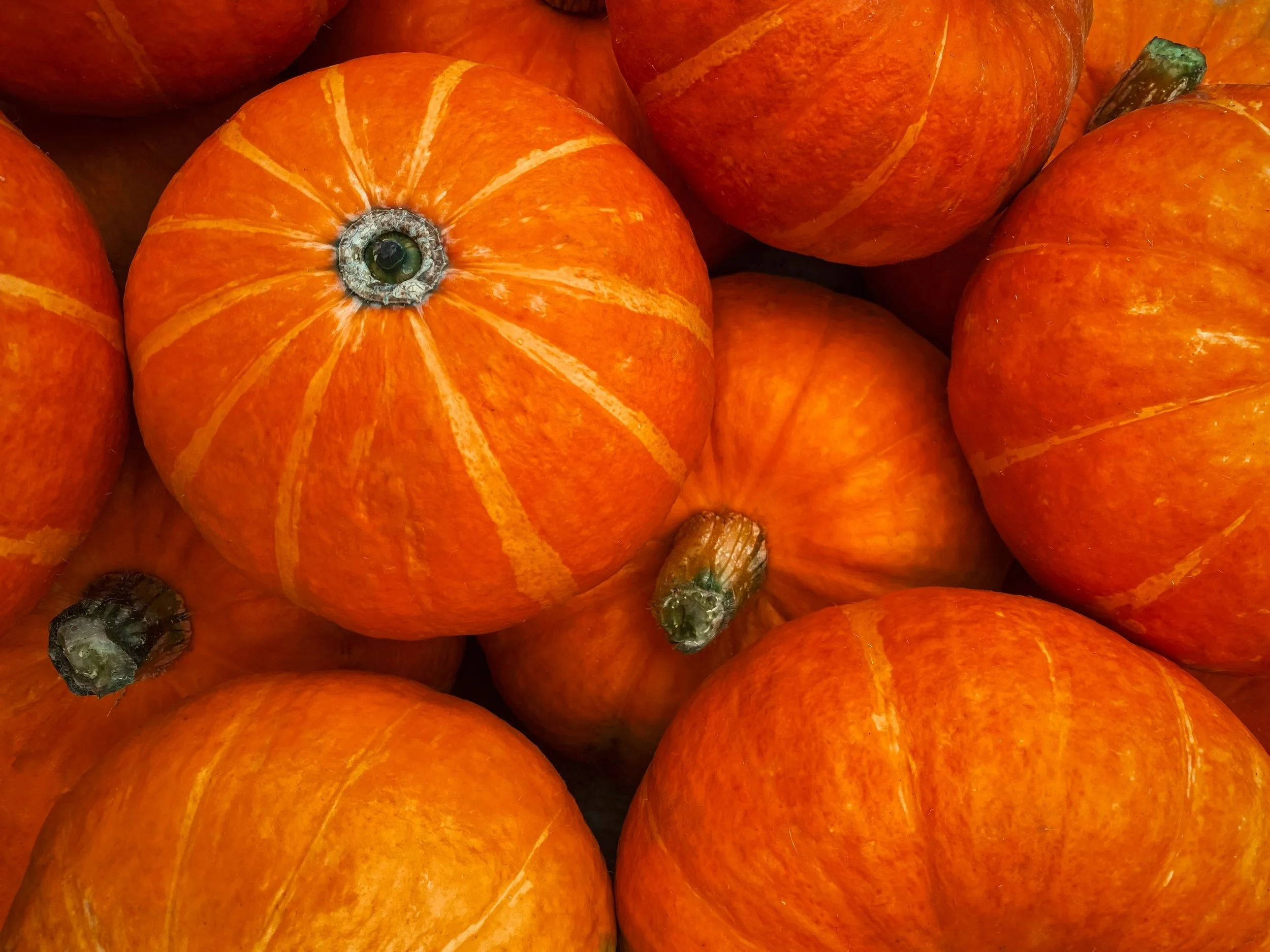 Seasonal Fall Superfoods To Fuel You Through The Cold Season