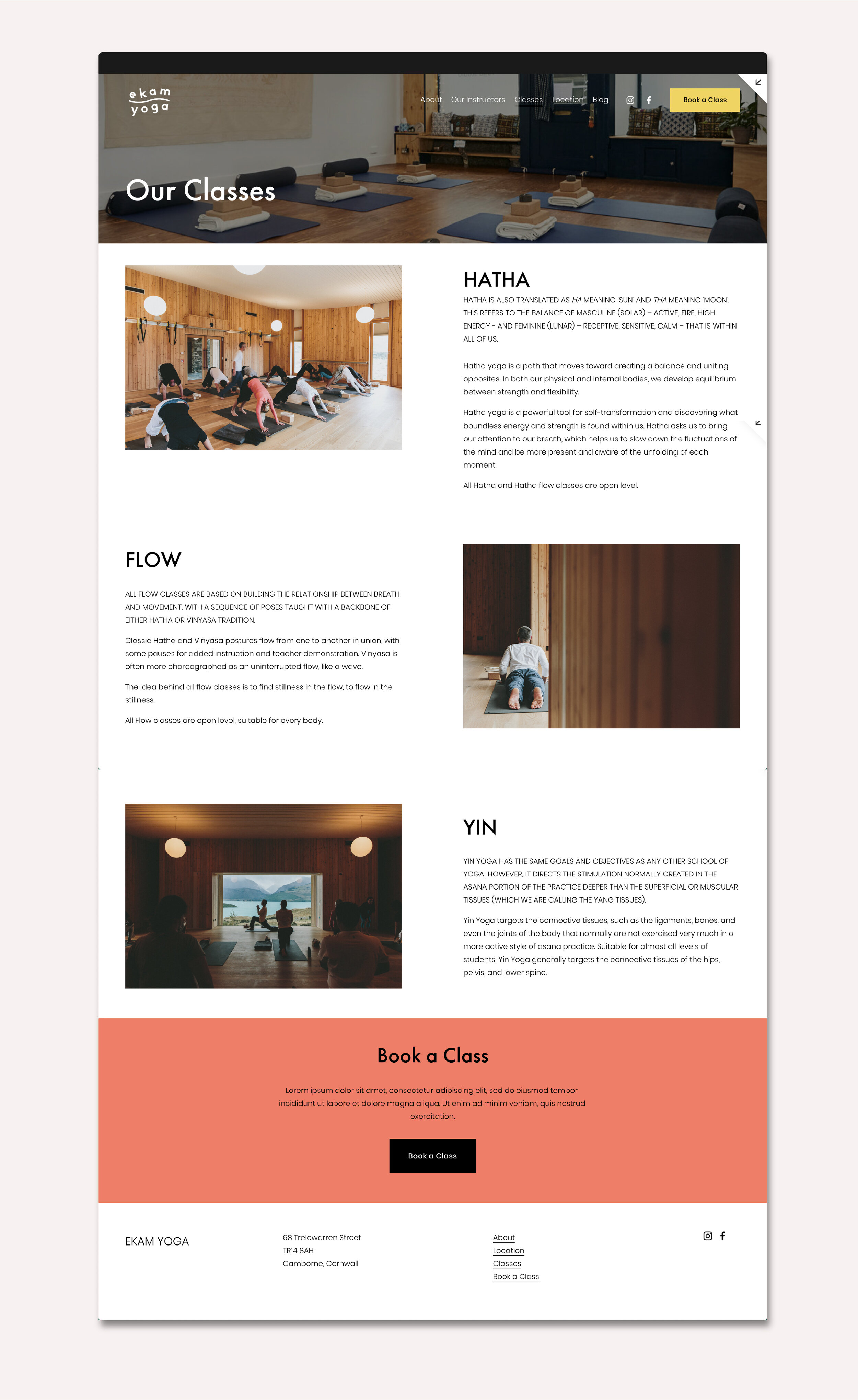 Artboard 10 copy 2@2x-100.jpg