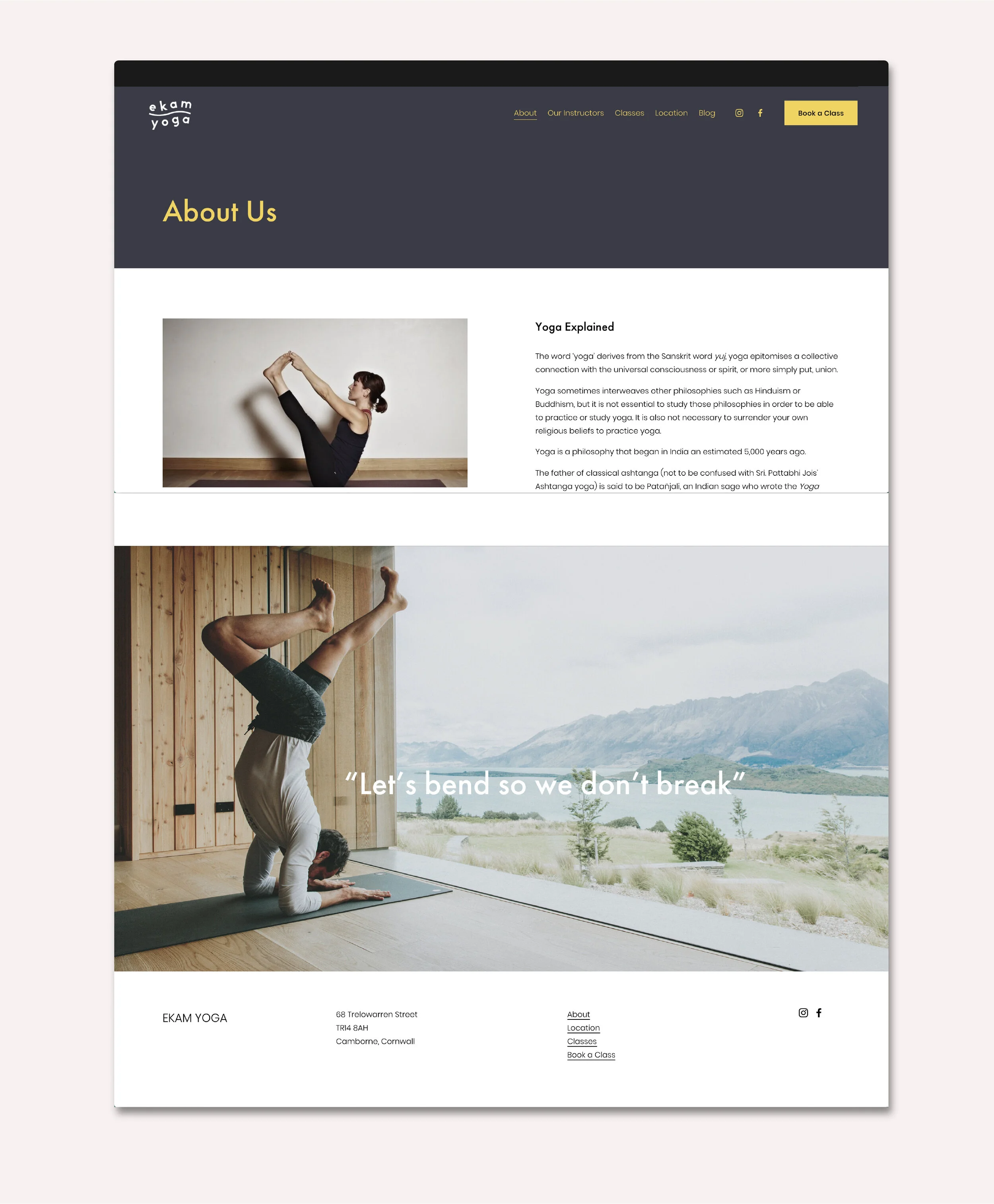 Artboard 10 copy@2x-100.jpg