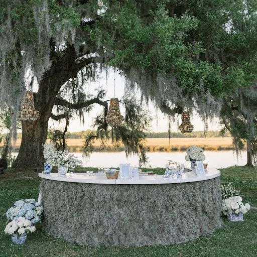 Sip in Charleston style with a view.

Cakes + Desserts | @flowerchildchs 
Catering + Bar | @harvest_catering 
Ceremony Musicians | @palmetto_stringssc 
Cocktail Hour Musicians | @thegreenlevels 
Draping | @lit_charleston 
Floral Design | @petalosoflo