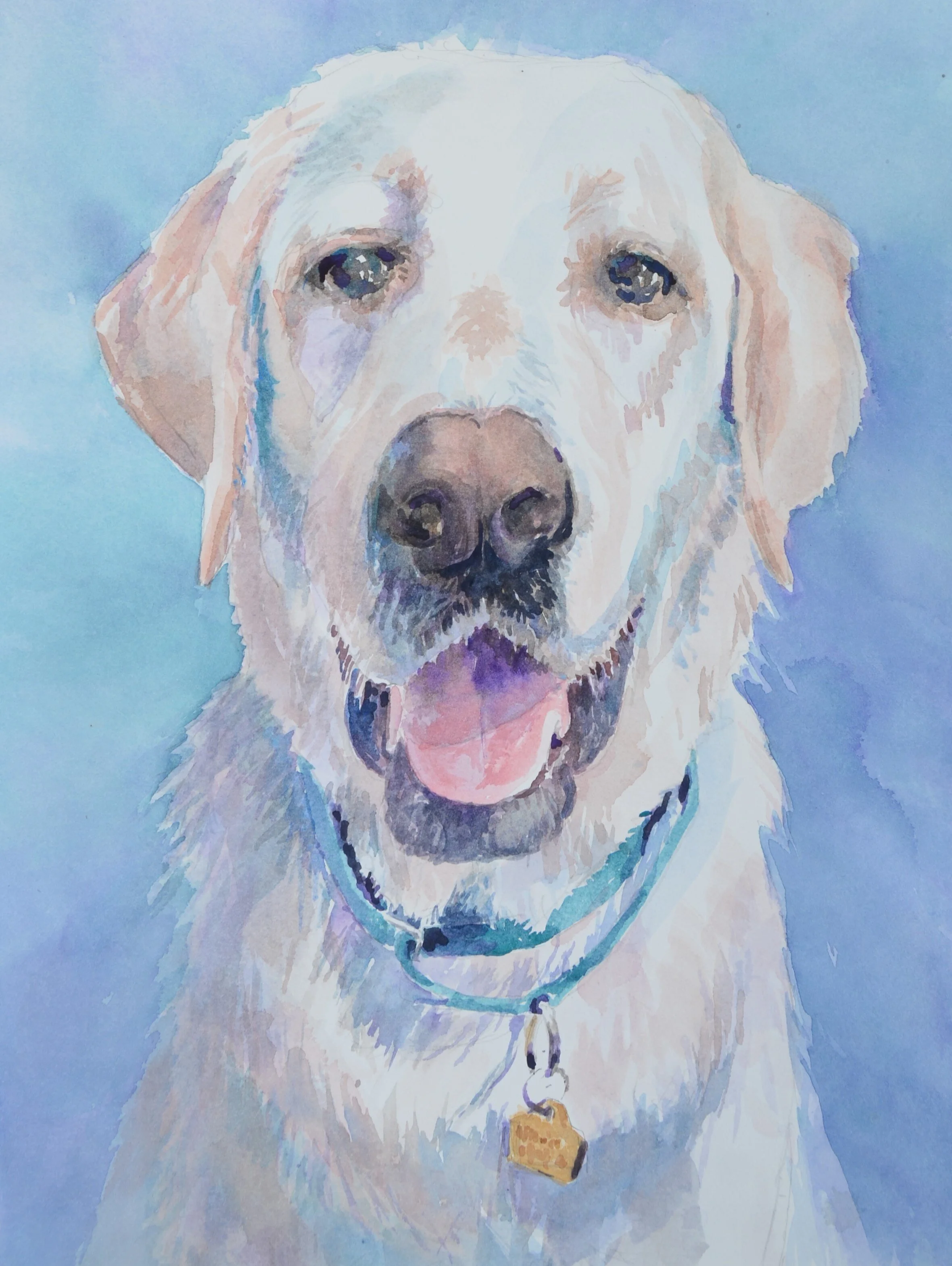   Ellie’s Dog.  15”x 11” Original watercolor. Sold. 