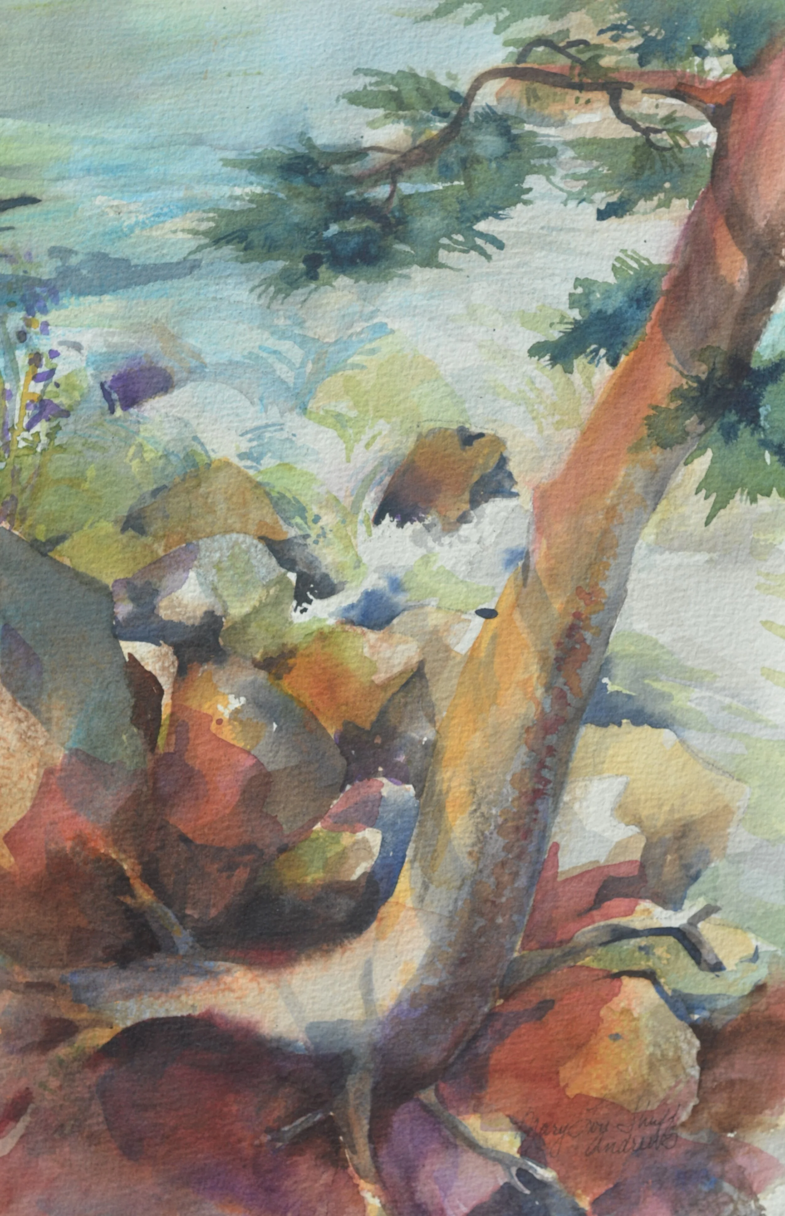   Well Rooted . 15”x 11”  Original watercolor. Available. 