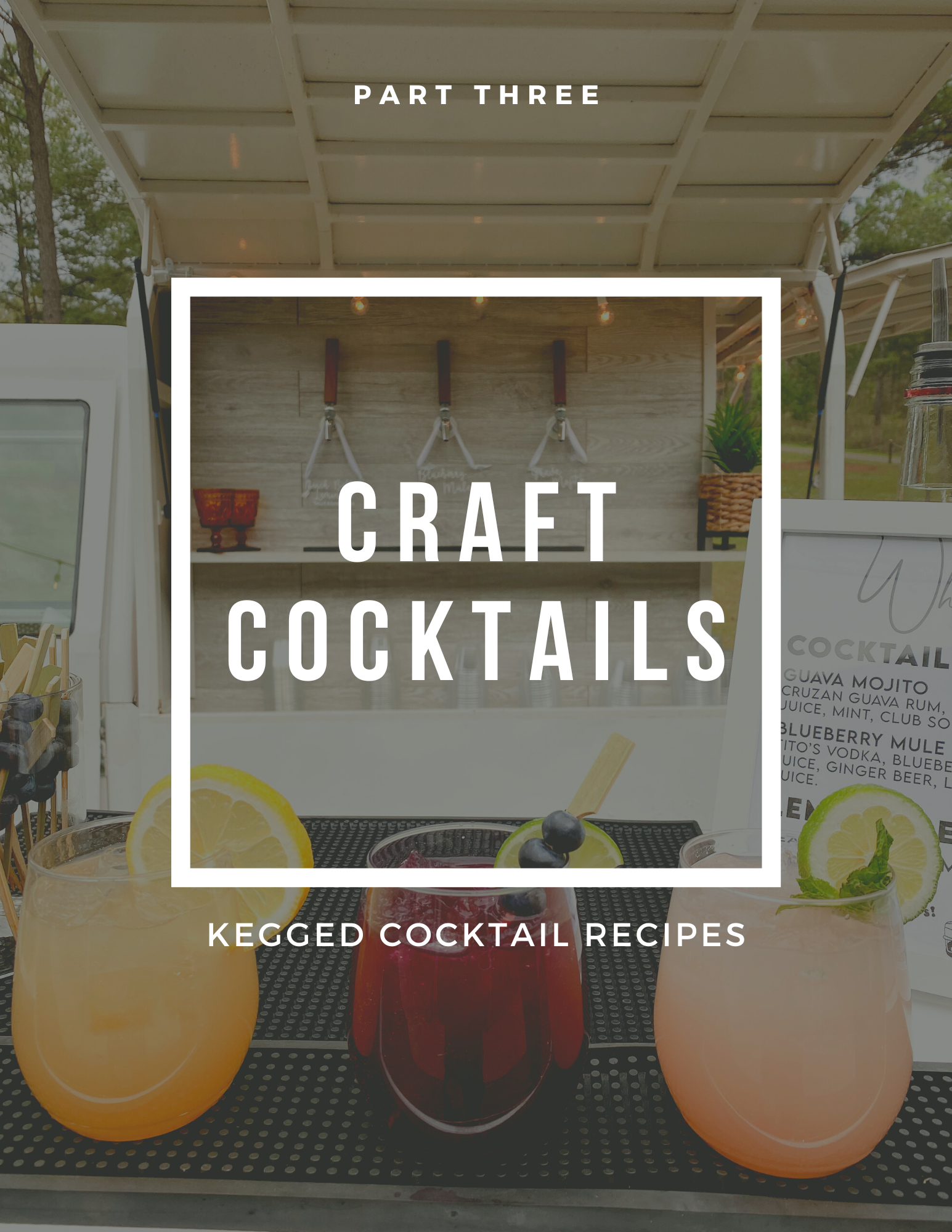 I'd Tap That: Kegged Cocktail Recipes: Binded Book (Physical Product ...