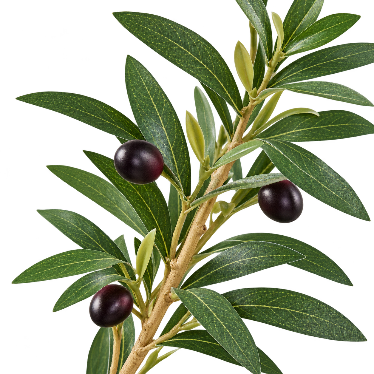 1f93c272-d99d-4bff-a7a2-a016d8aa084b.png