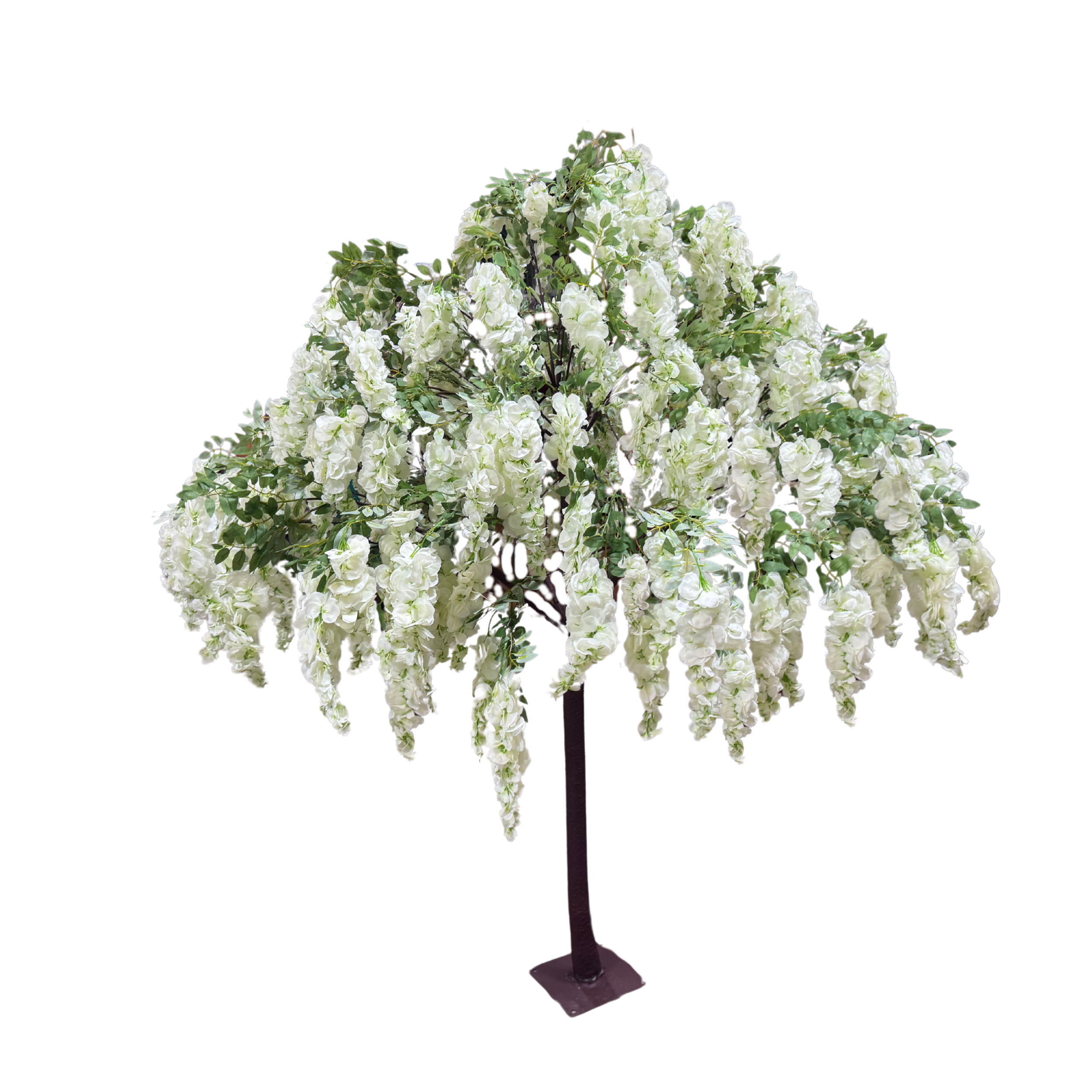 Wisteria Tree HQ copy.png
