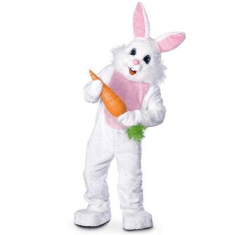 Bunny Costume