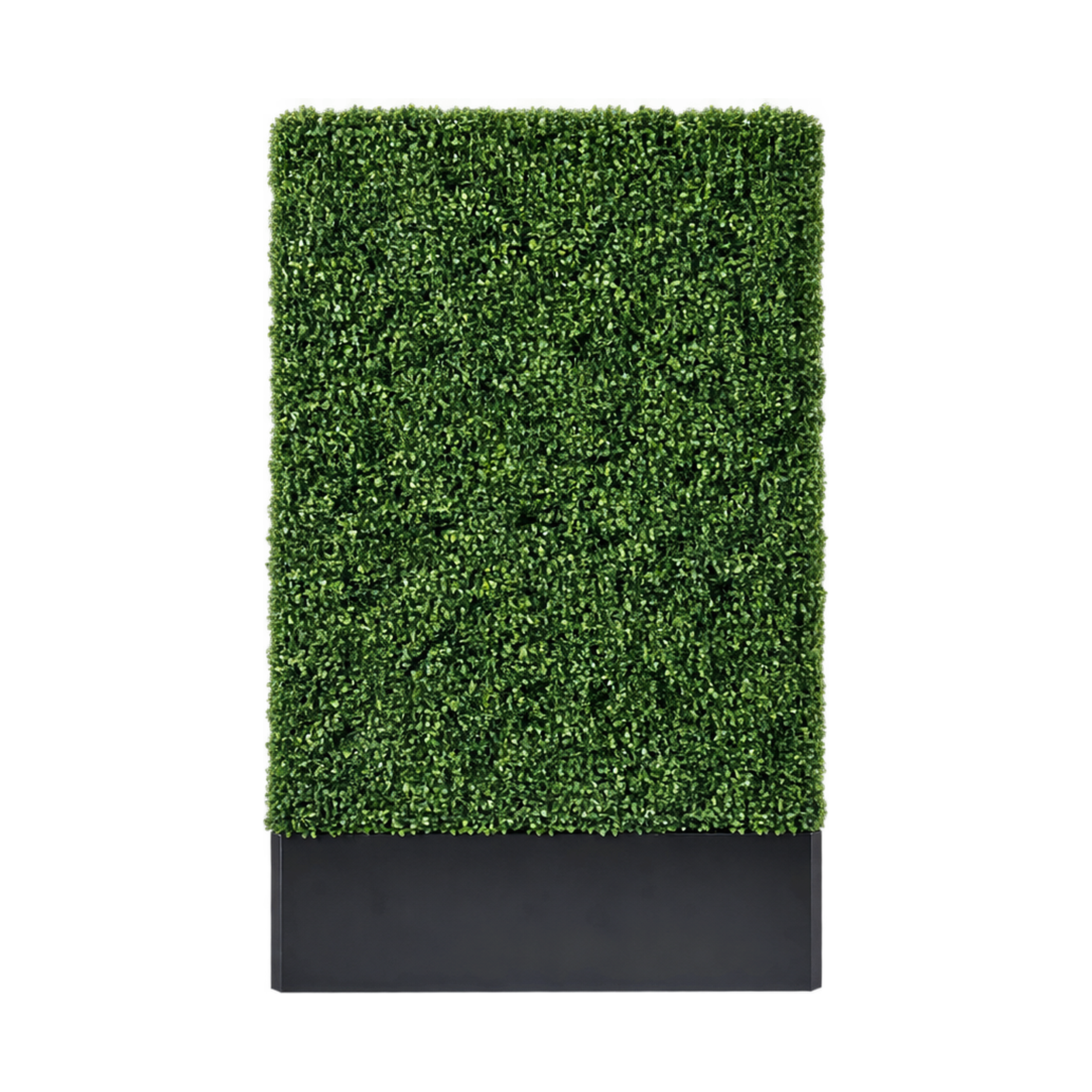 Boxwood_Wall_Front_Thumbnail_2500x2500.png
