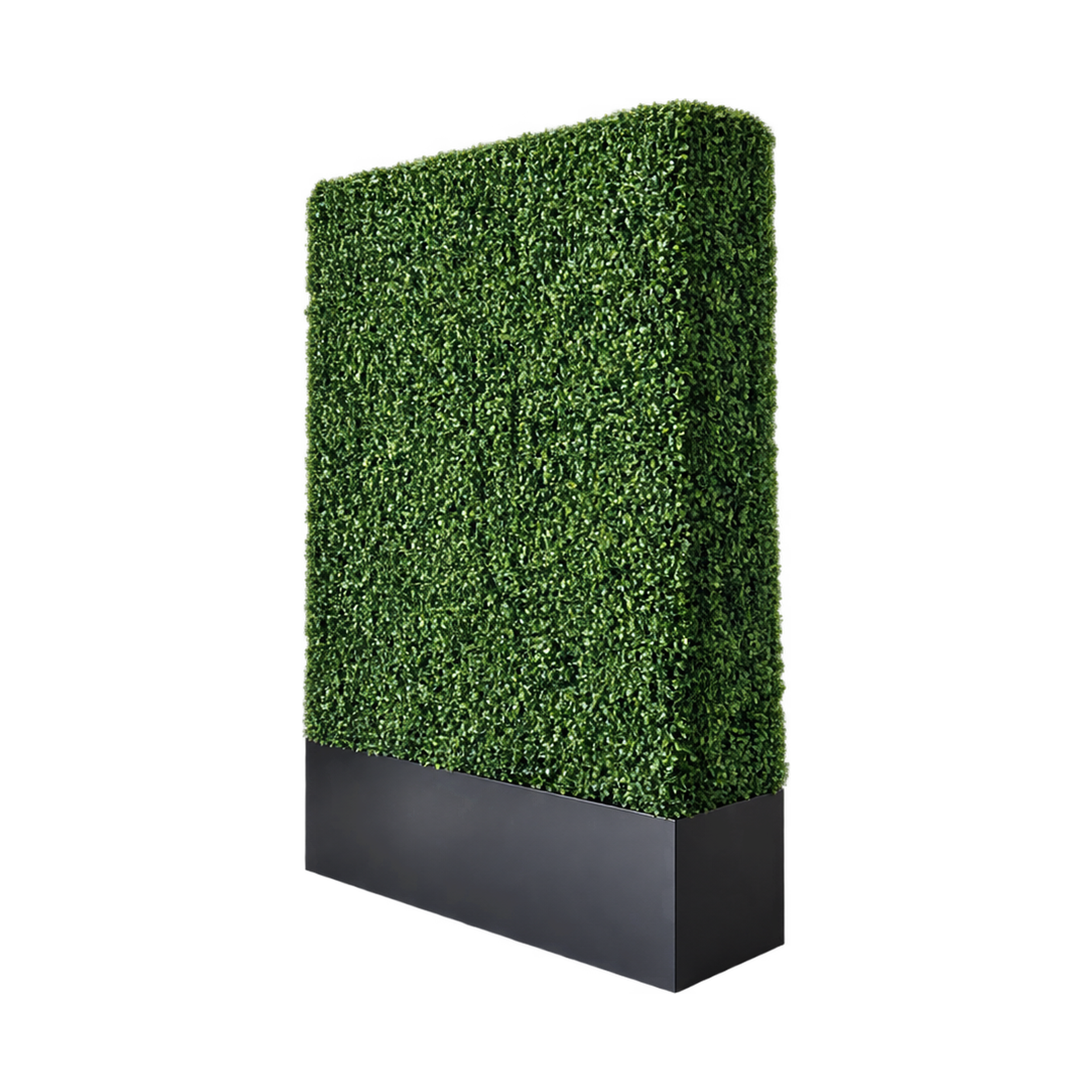 Boxwood_Wall_Angled_Thumbnail_2500x2500.png