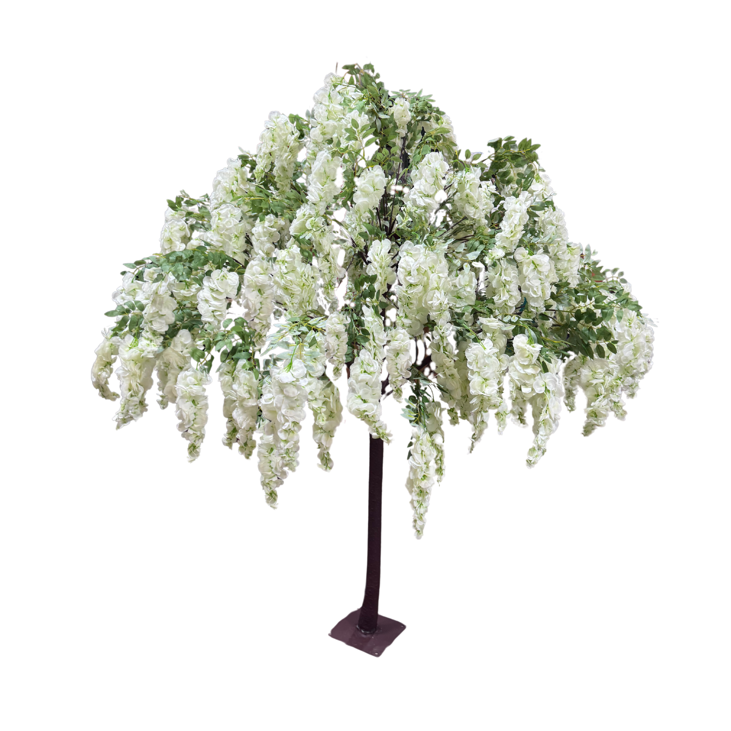 Wisteria Tree HQ.png