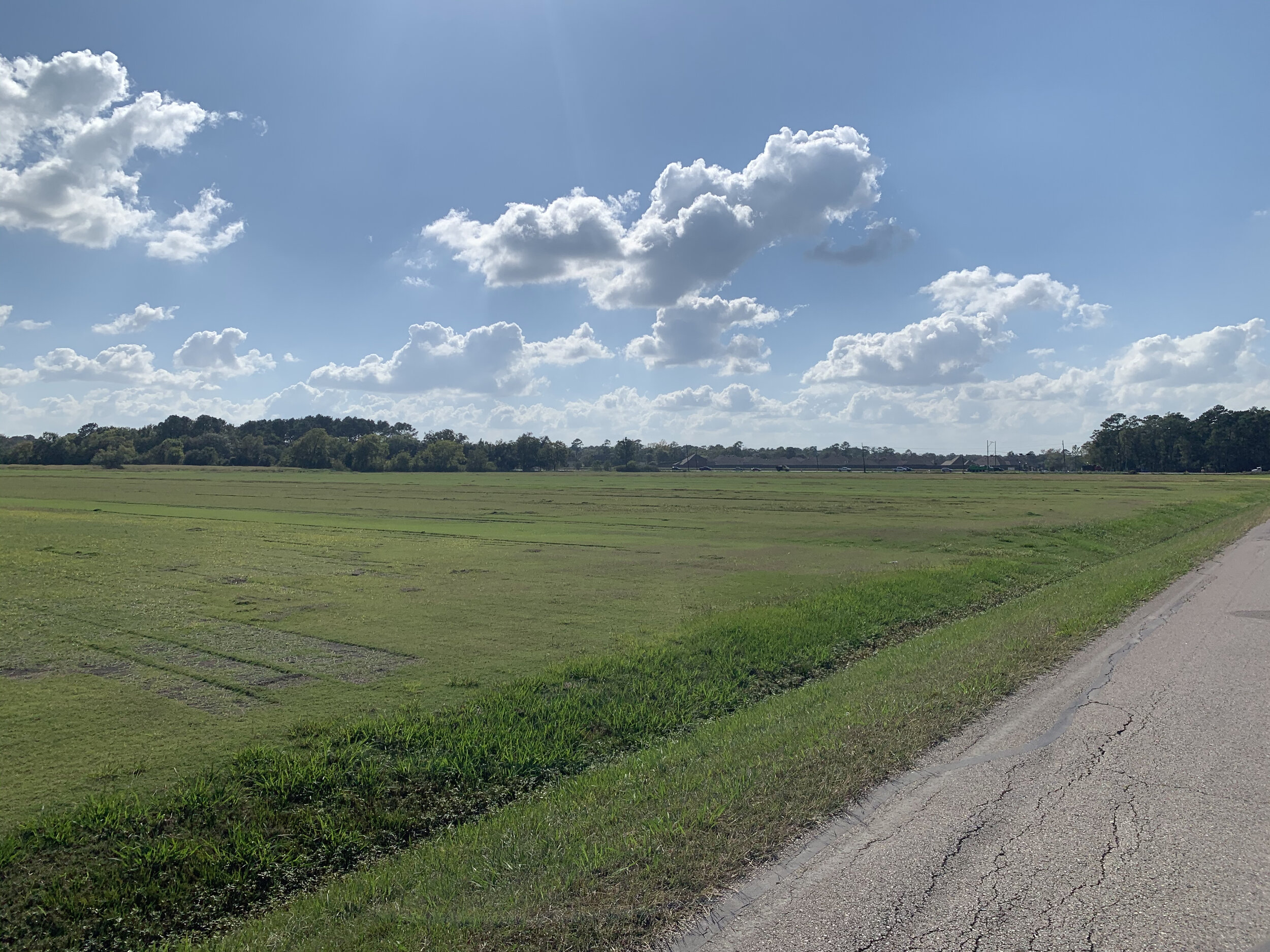 Newport Pointe 1.jpg