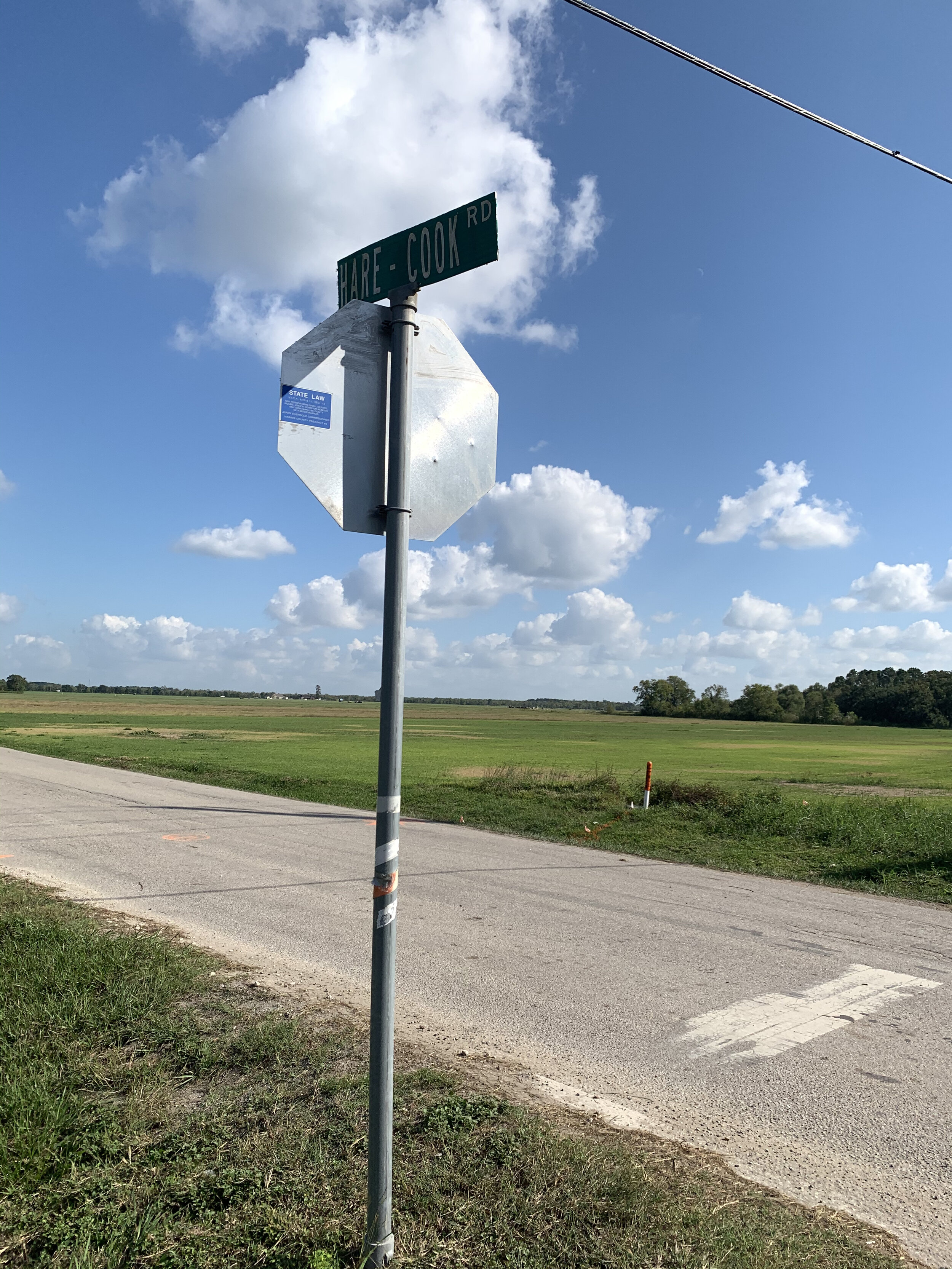Newport Pointe 2.jpg