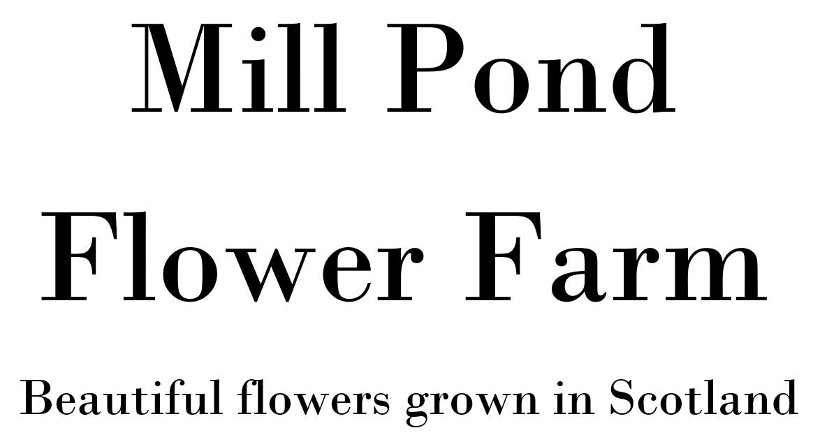 Mill Pond Flower Farm