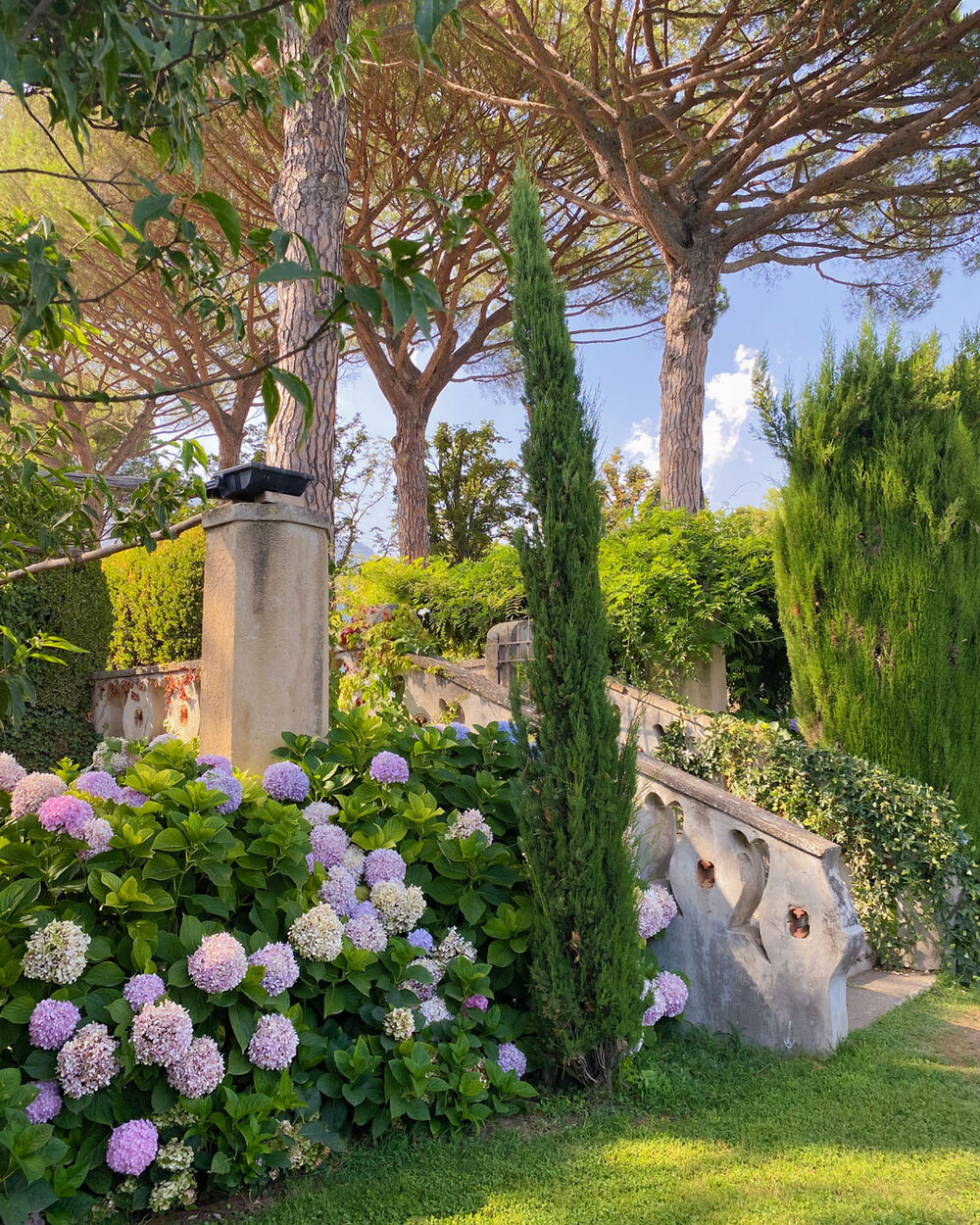 Ravello-gardens.jpg