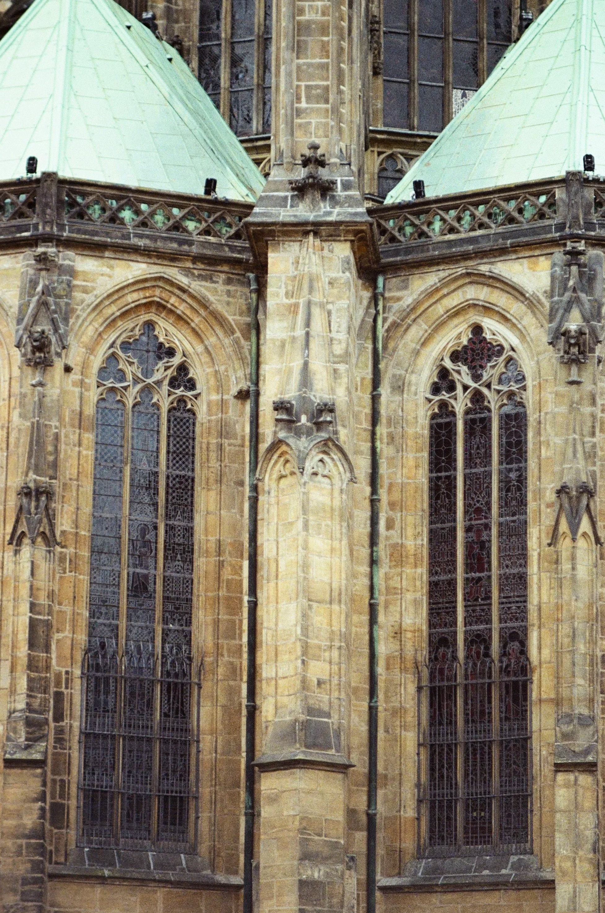 IMG_3645.png