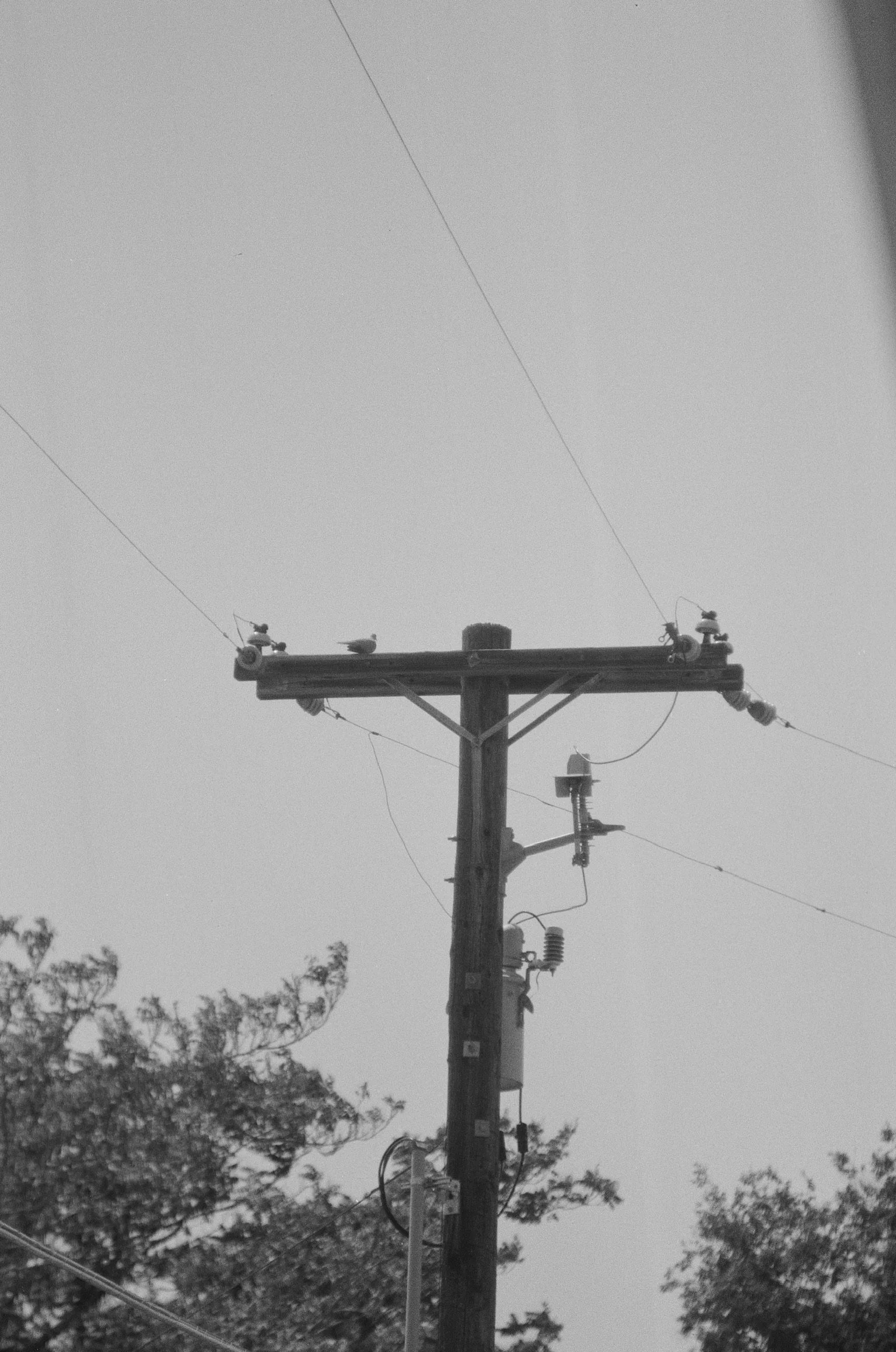 IMG_9850.jpeg