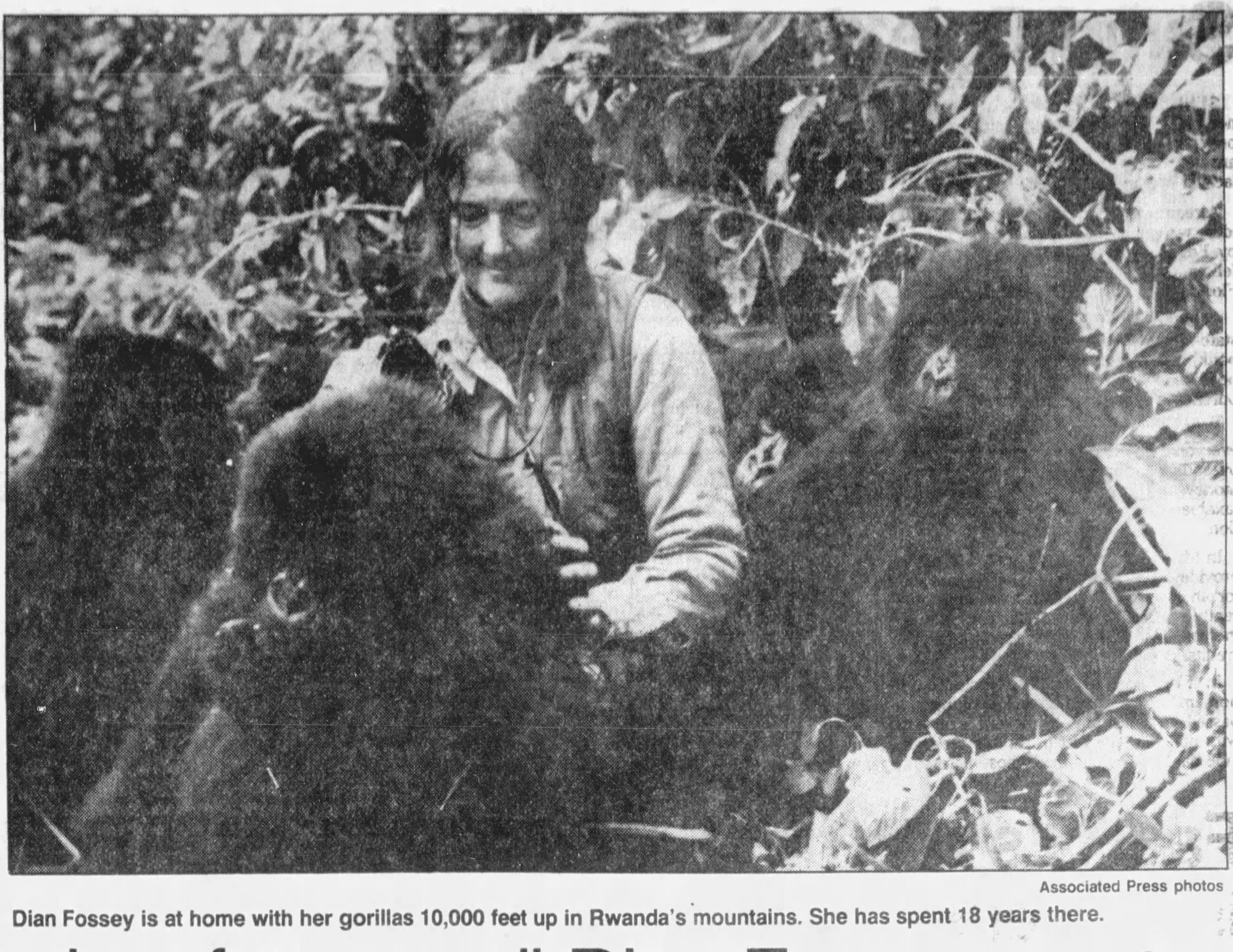 Dian Fossey — Murderous Roots