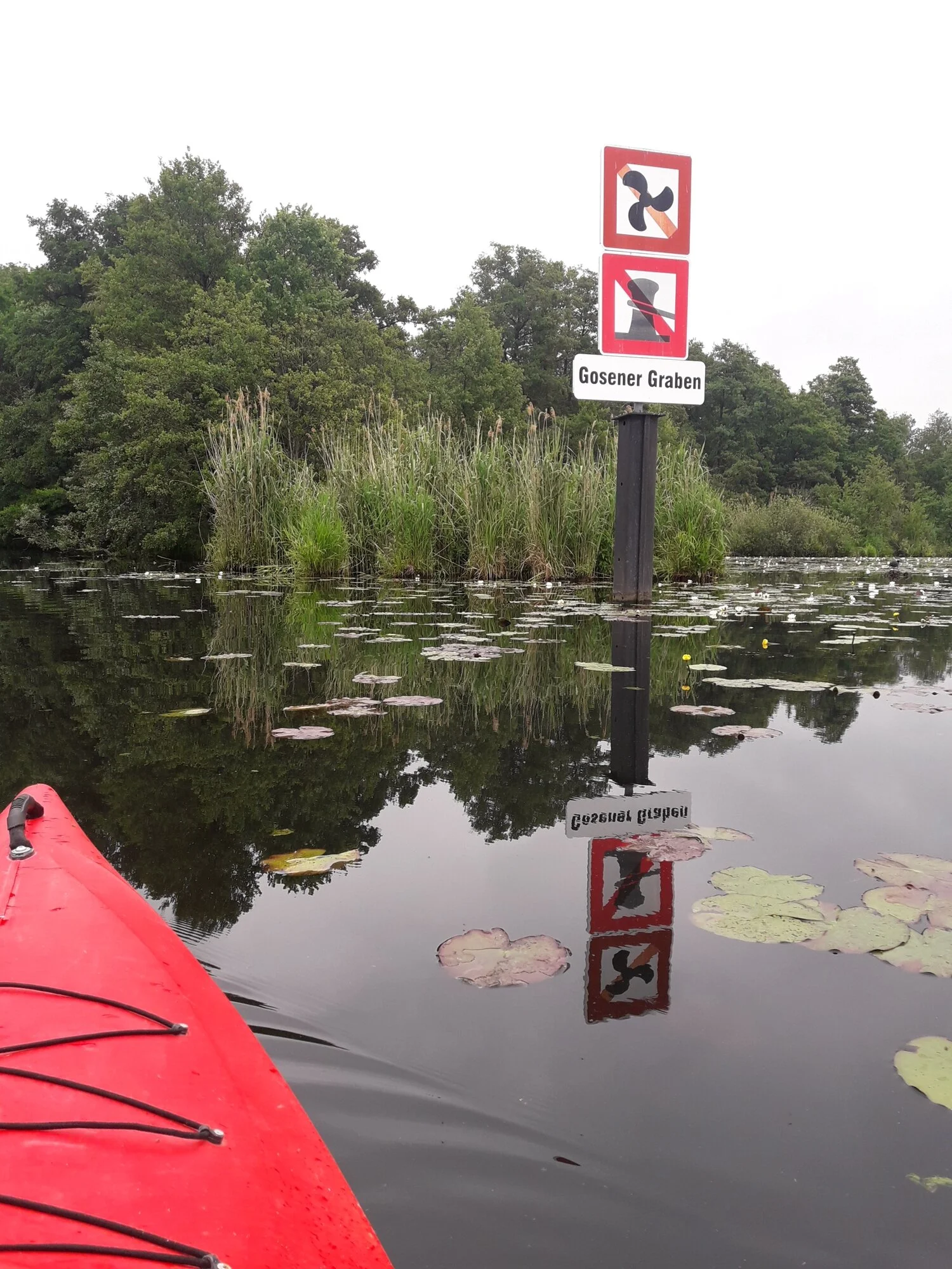 Müggelheim | Paddeltour Gosener Graben 