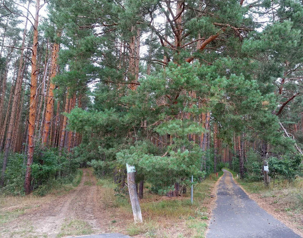 Zwischen Biesenthal &amp; Finowfurt