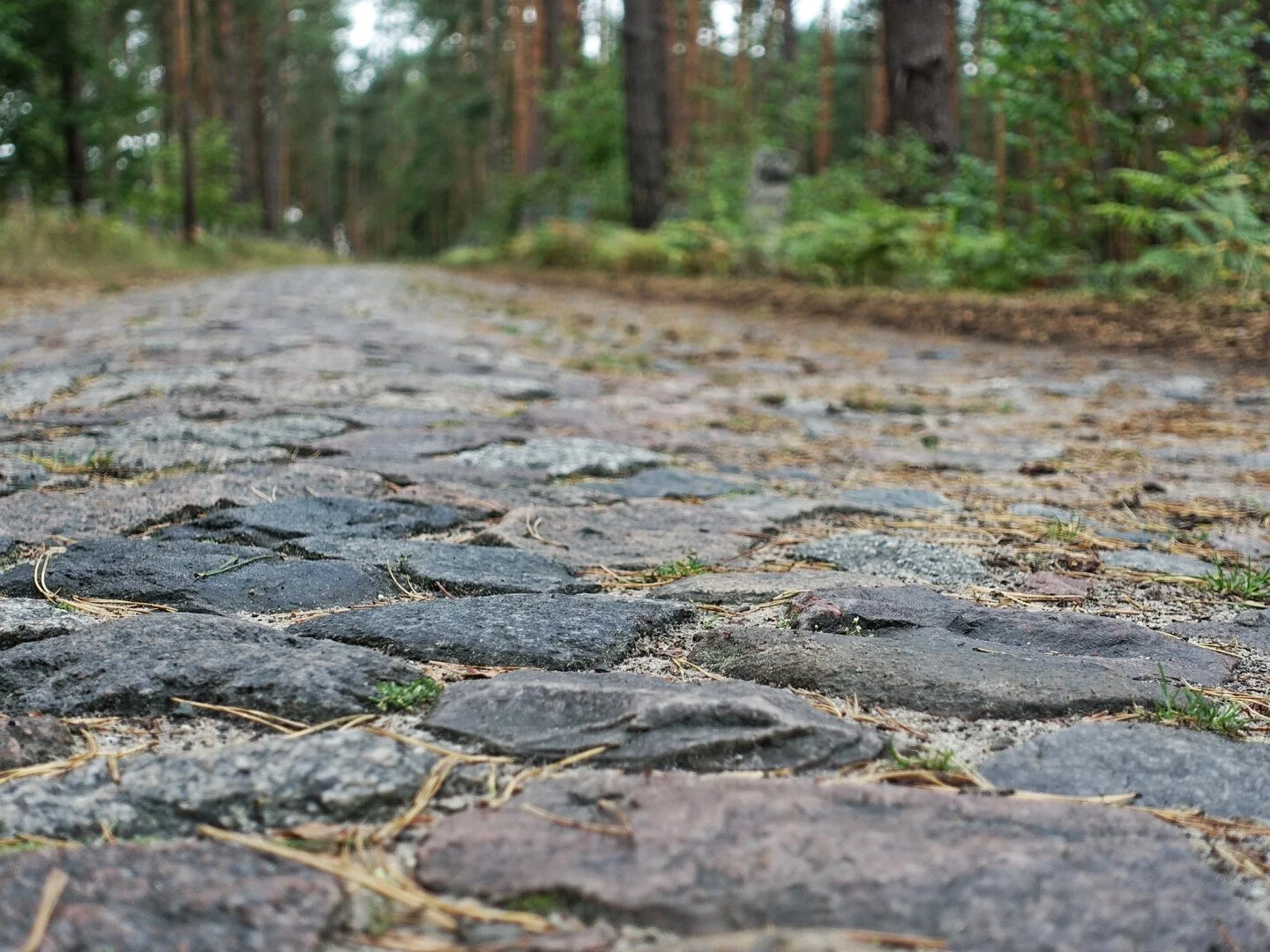 Zwischen Biesenthal &amp; Finowfurt