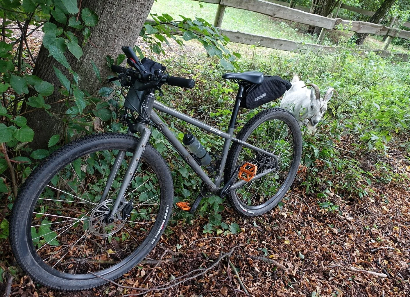 Am Treidelweg zwischen Finowfurt &amp; Finow