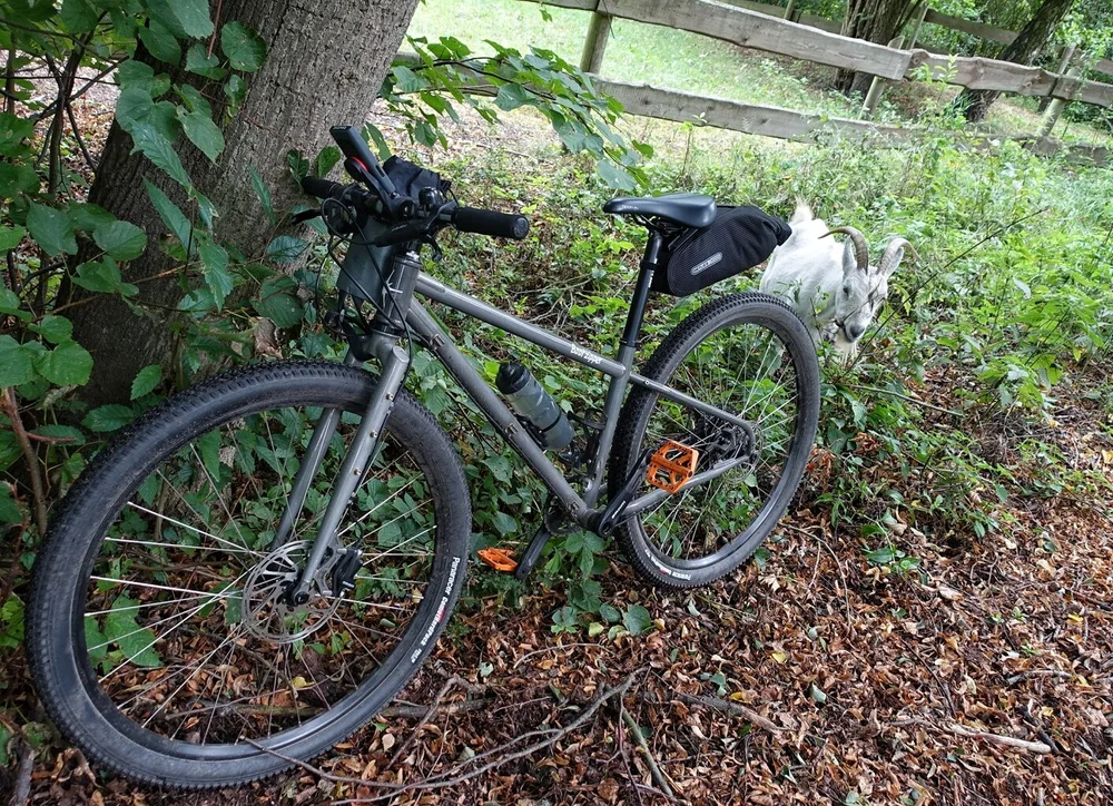 Am Treidelweg zwischen Finowfurt &amp; Finow