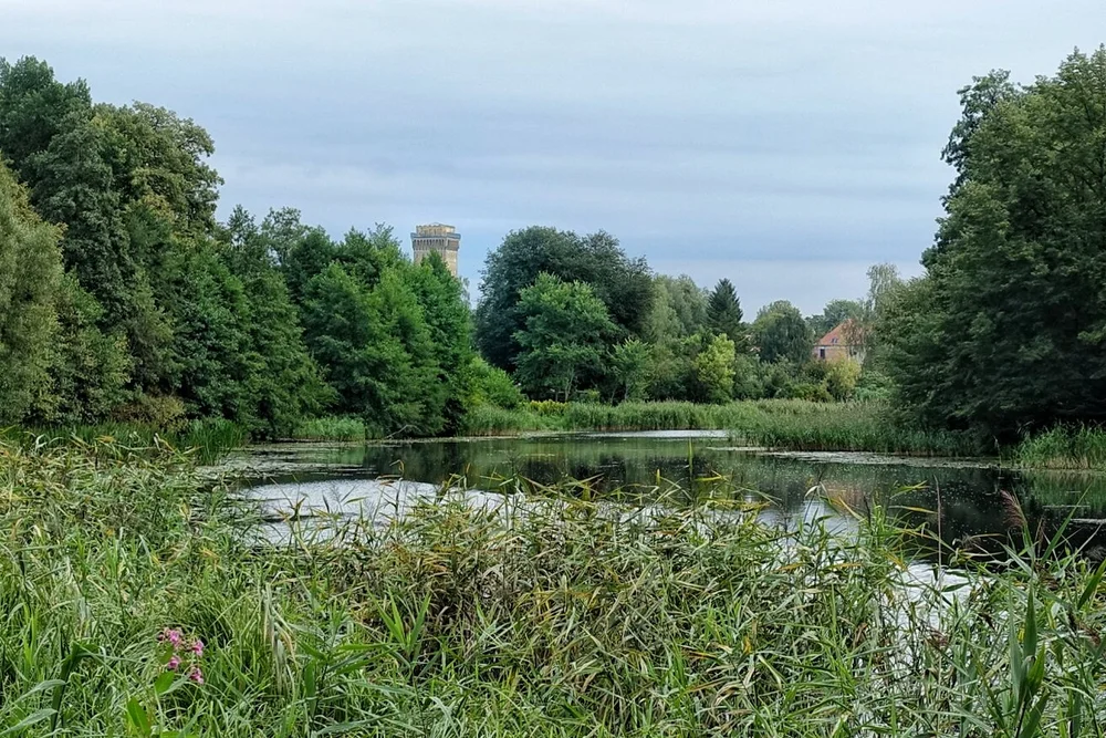Blick auf den Wasserturm vom Treidelweg