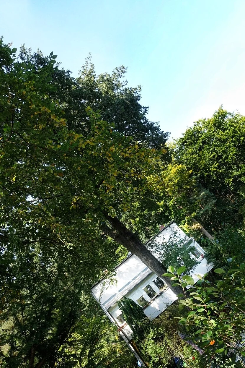 Haus Beckmann | Hermsdorf