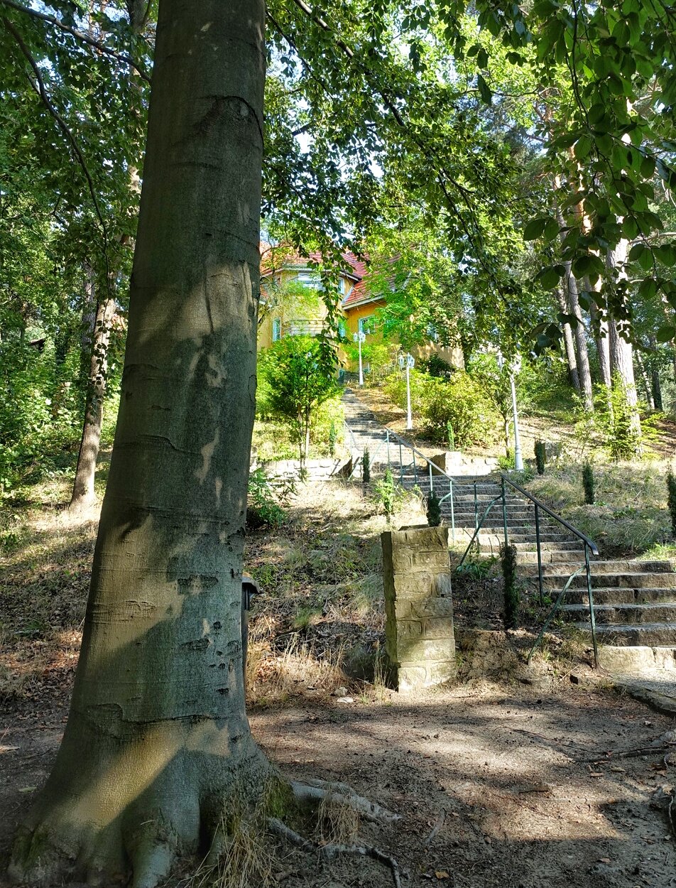 Buddhistisches Haus | Frohnau