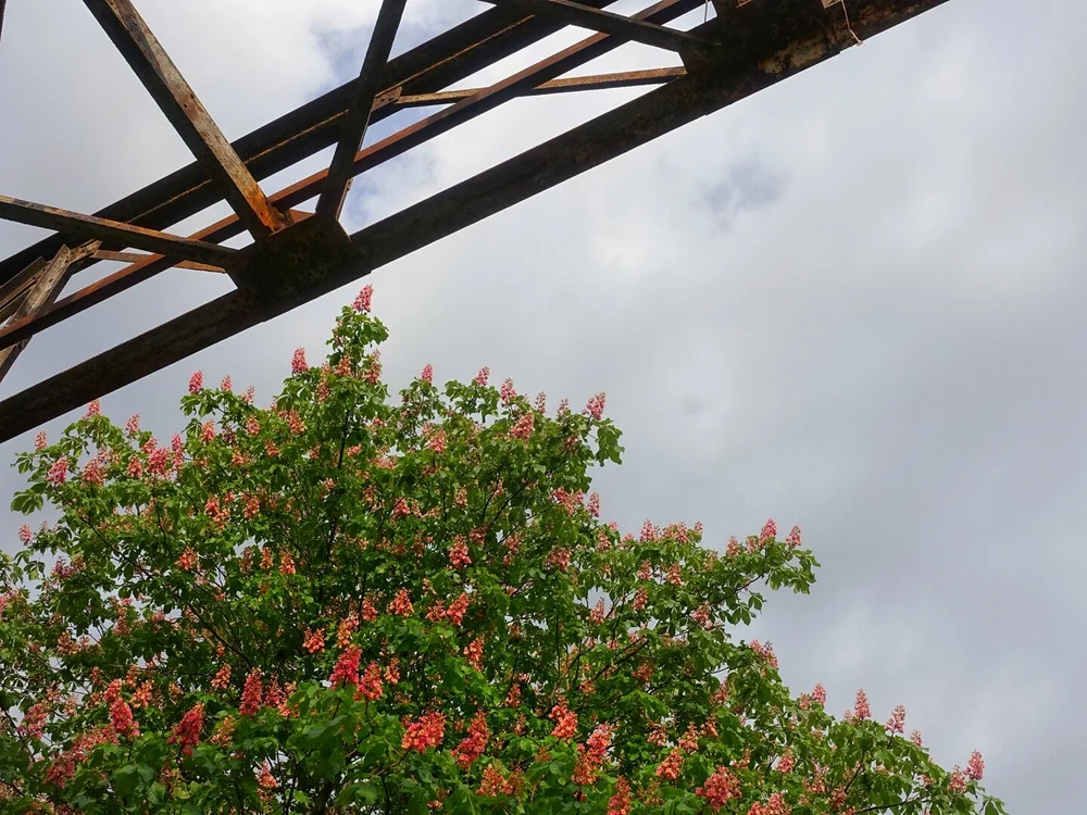 Beschaubrücke - Berliner Mauer 