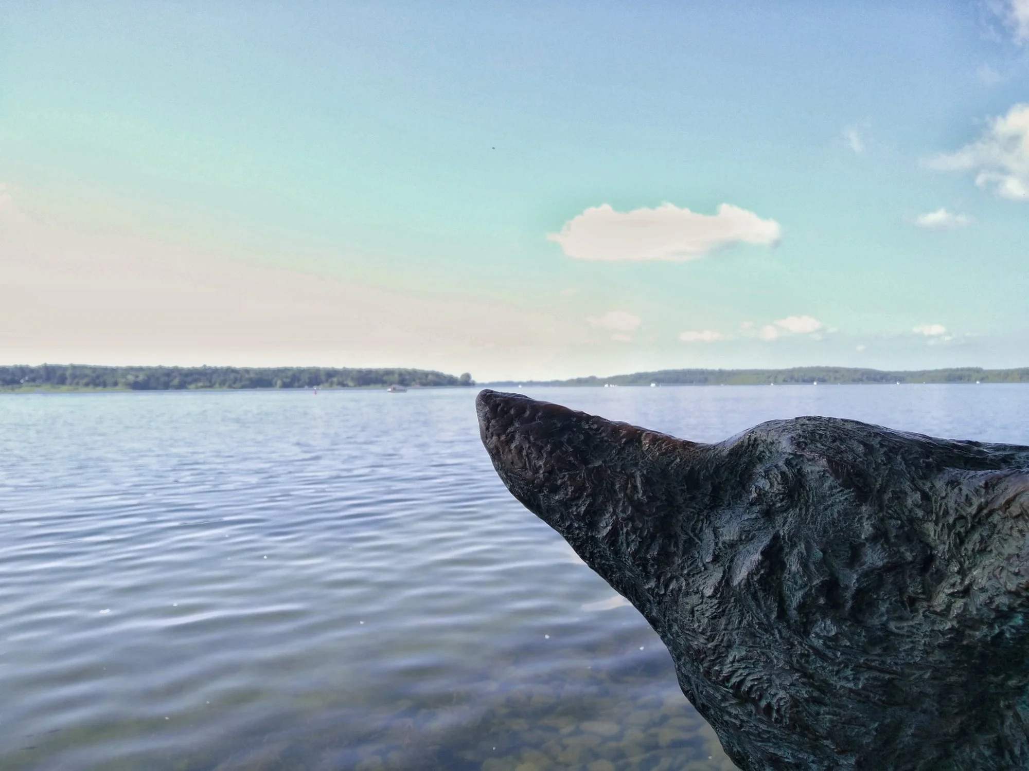 Mein erstes Müritzschwimmen 2024 