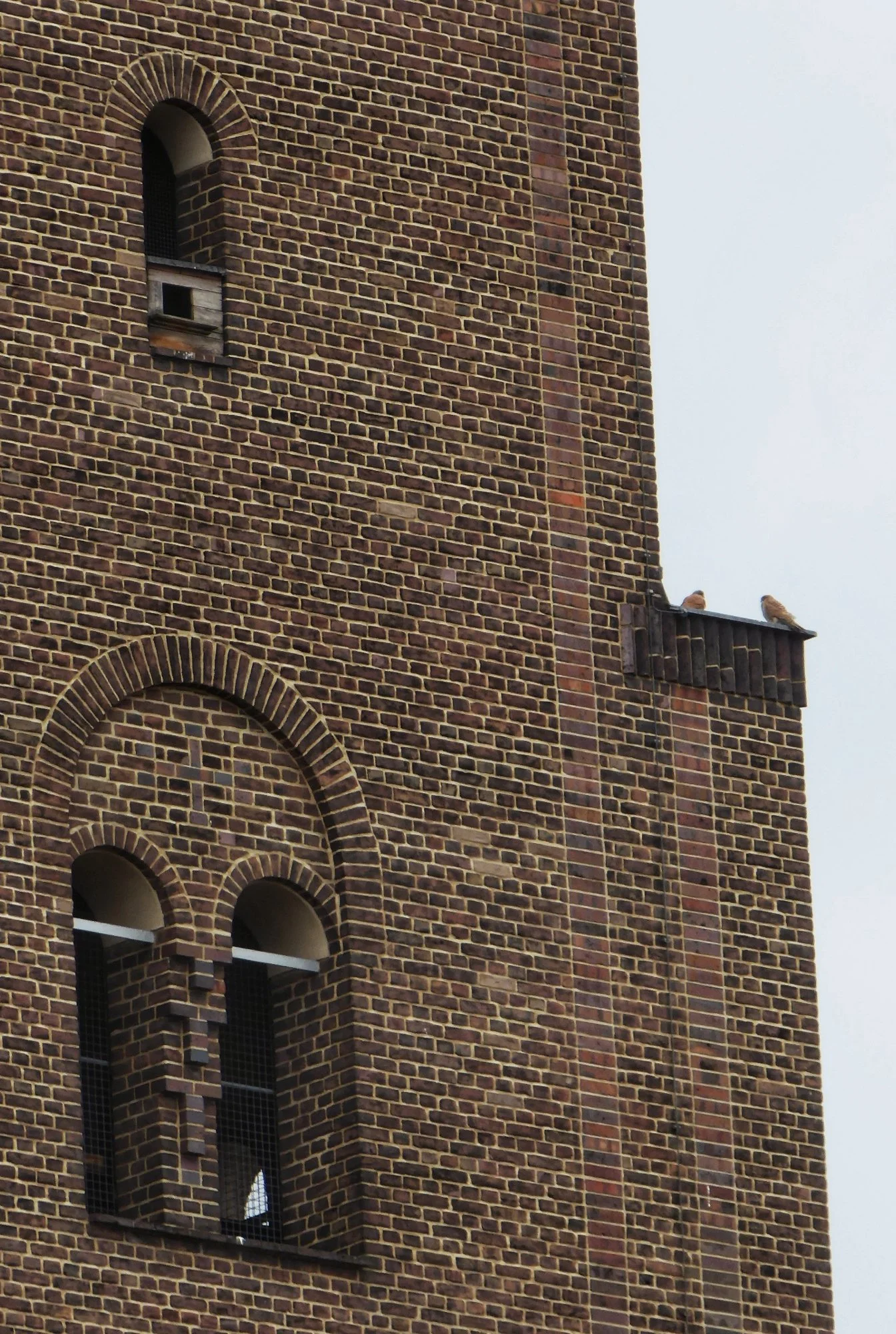 Wichertstraße Katholische Kirche.jpeg