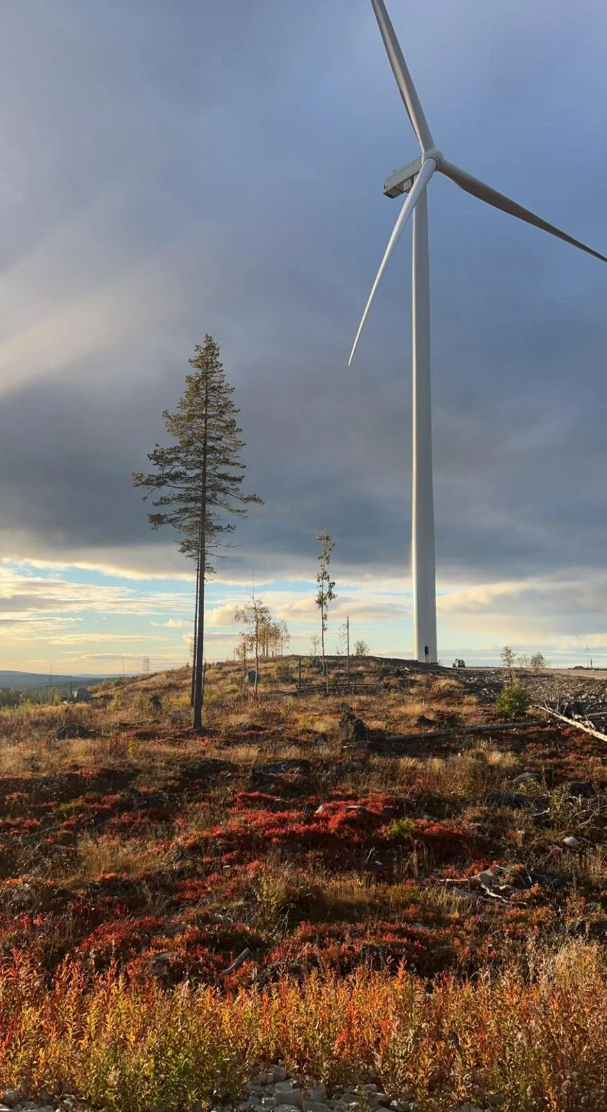 Björnberget Wind Farm